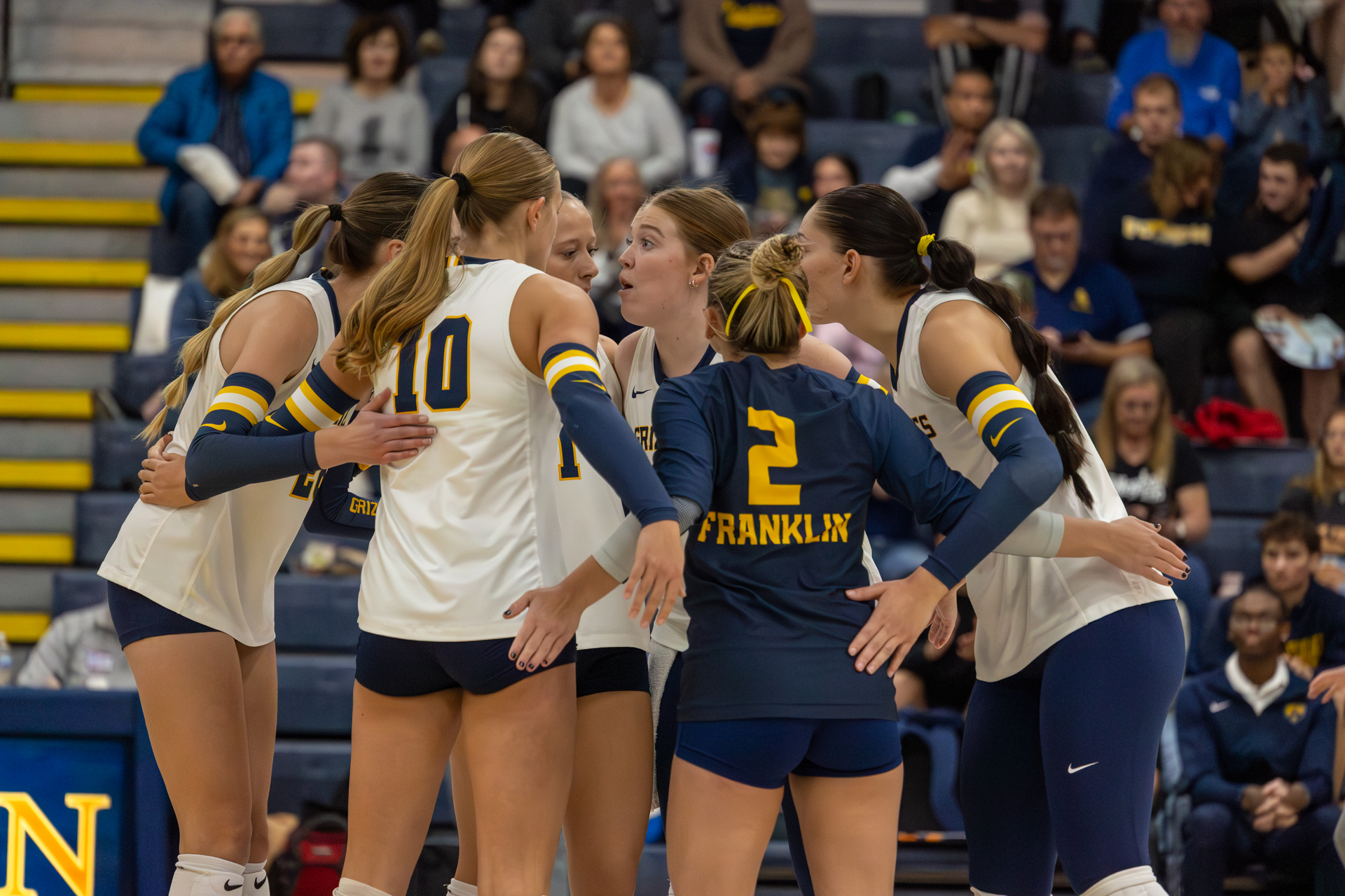 WVB Manchester Holubik 7