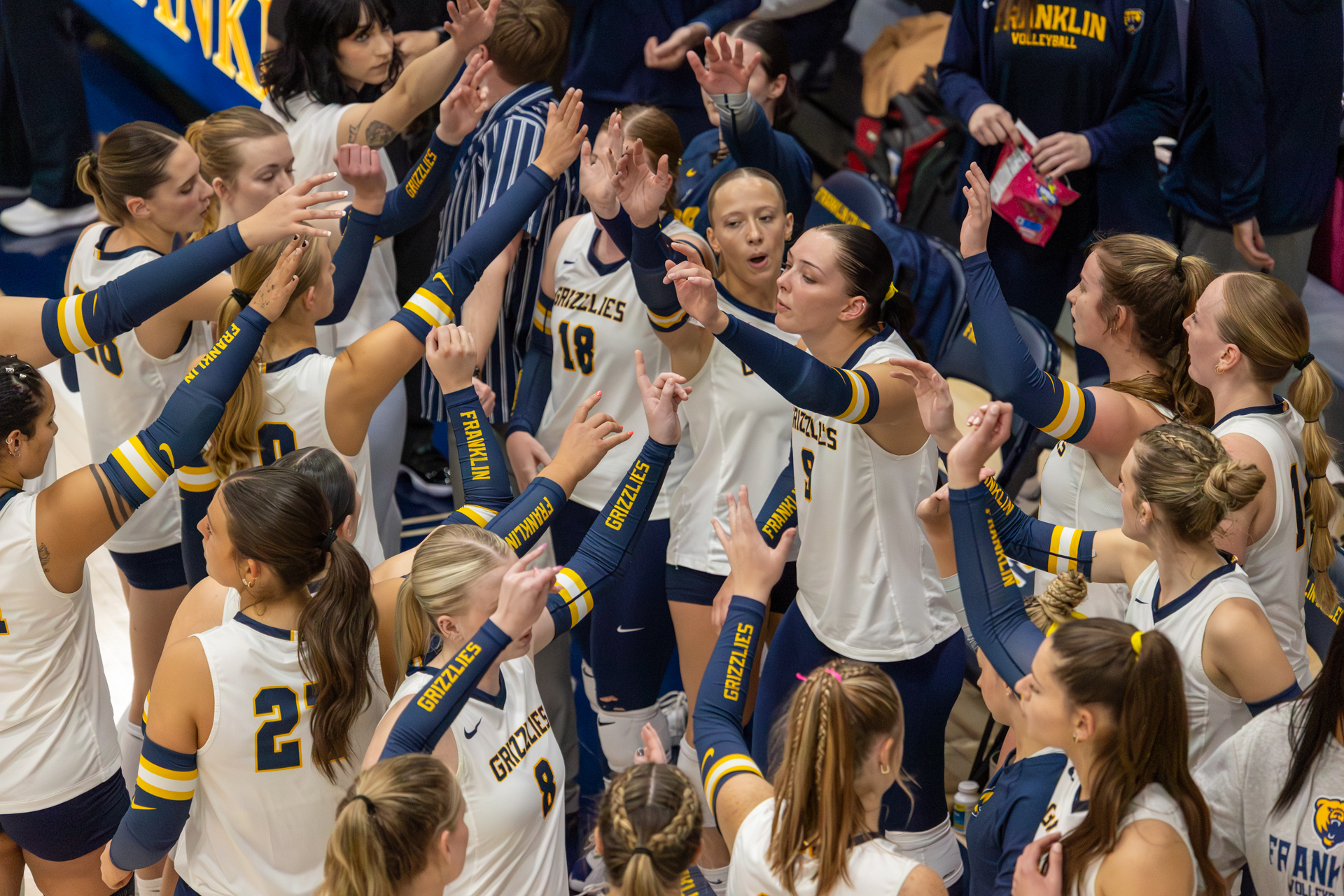 WVB Manchester Holubik 44