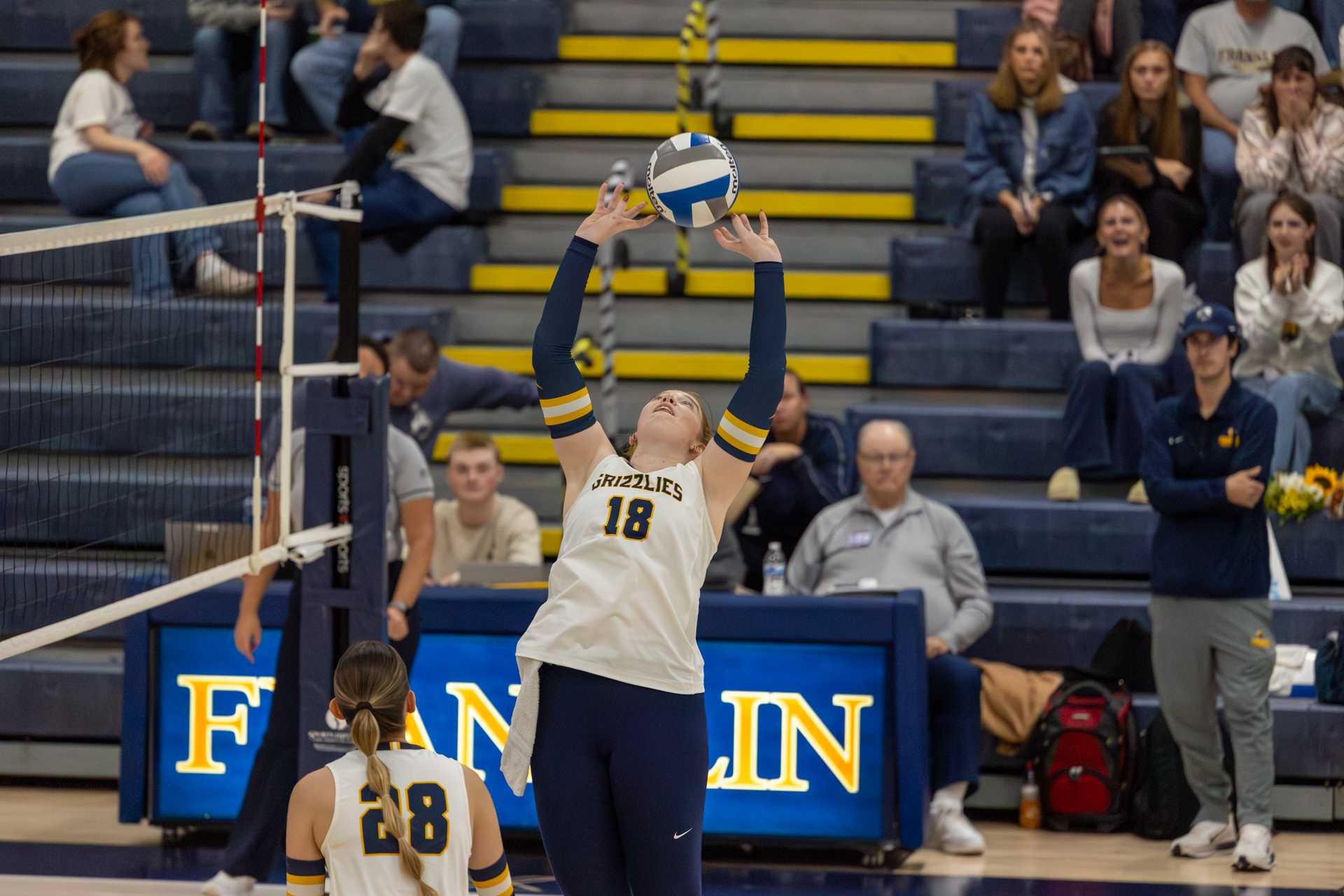 WVB Manchester Holubik 49