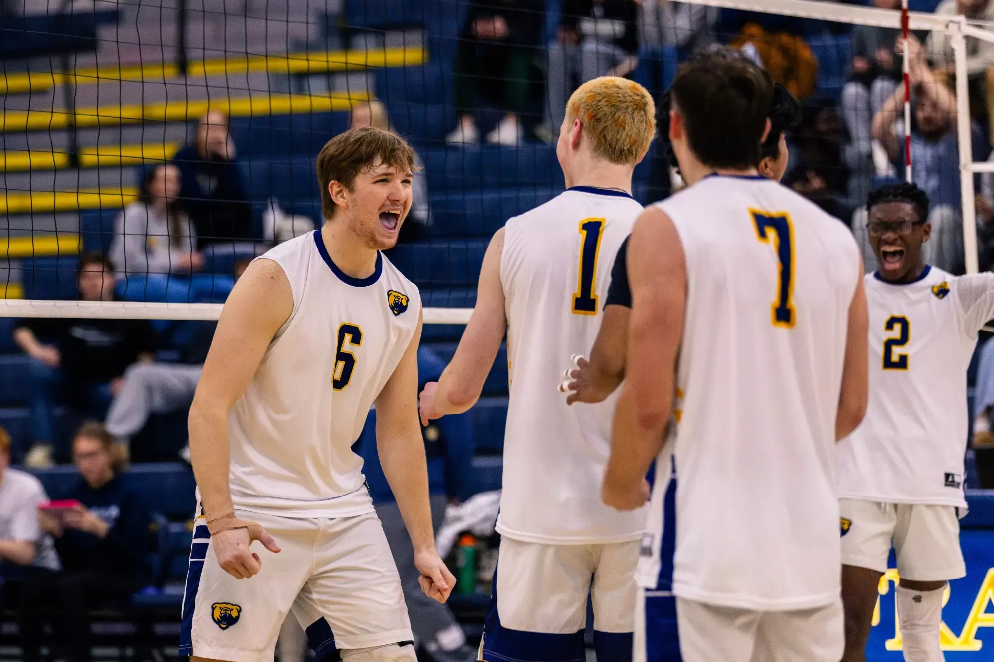 MVB MSJ Martin 31