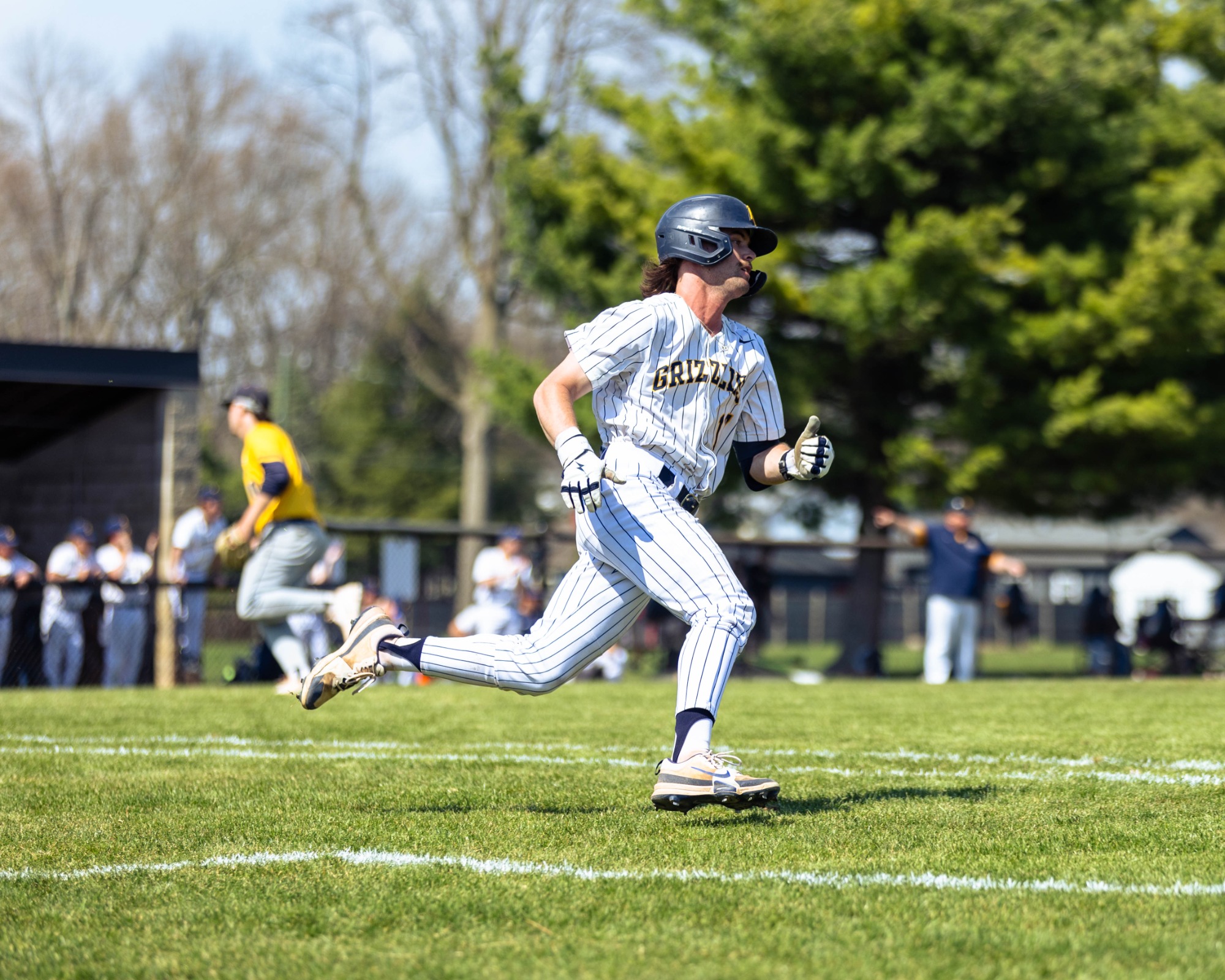 BASE MSJ Martin 54