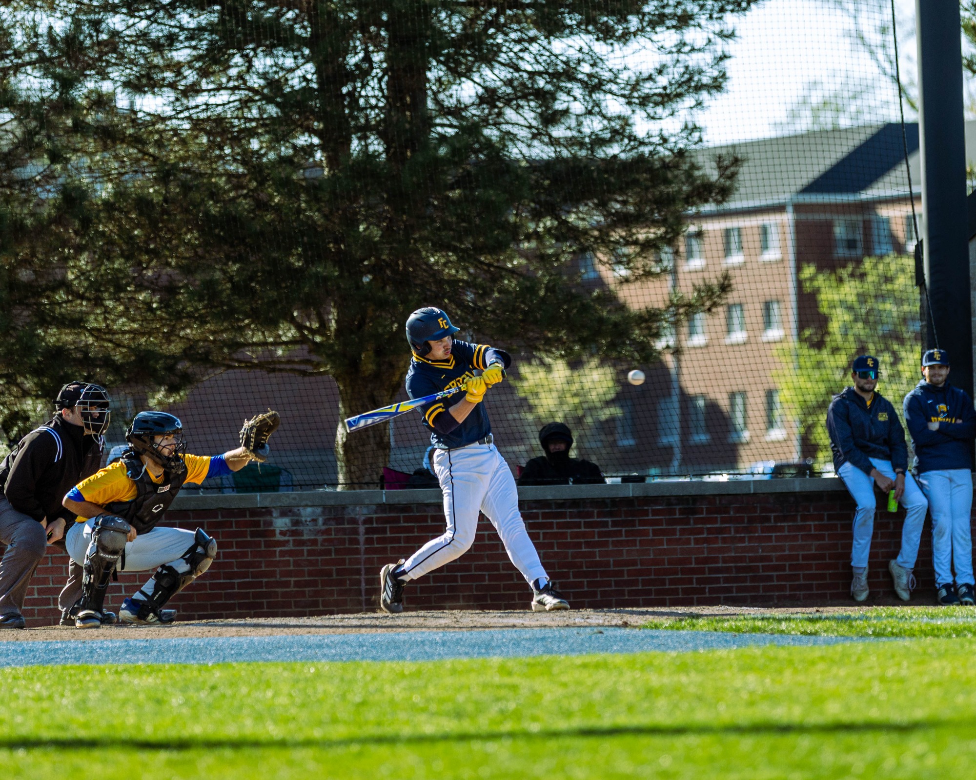 BASE Spalding Martin 33