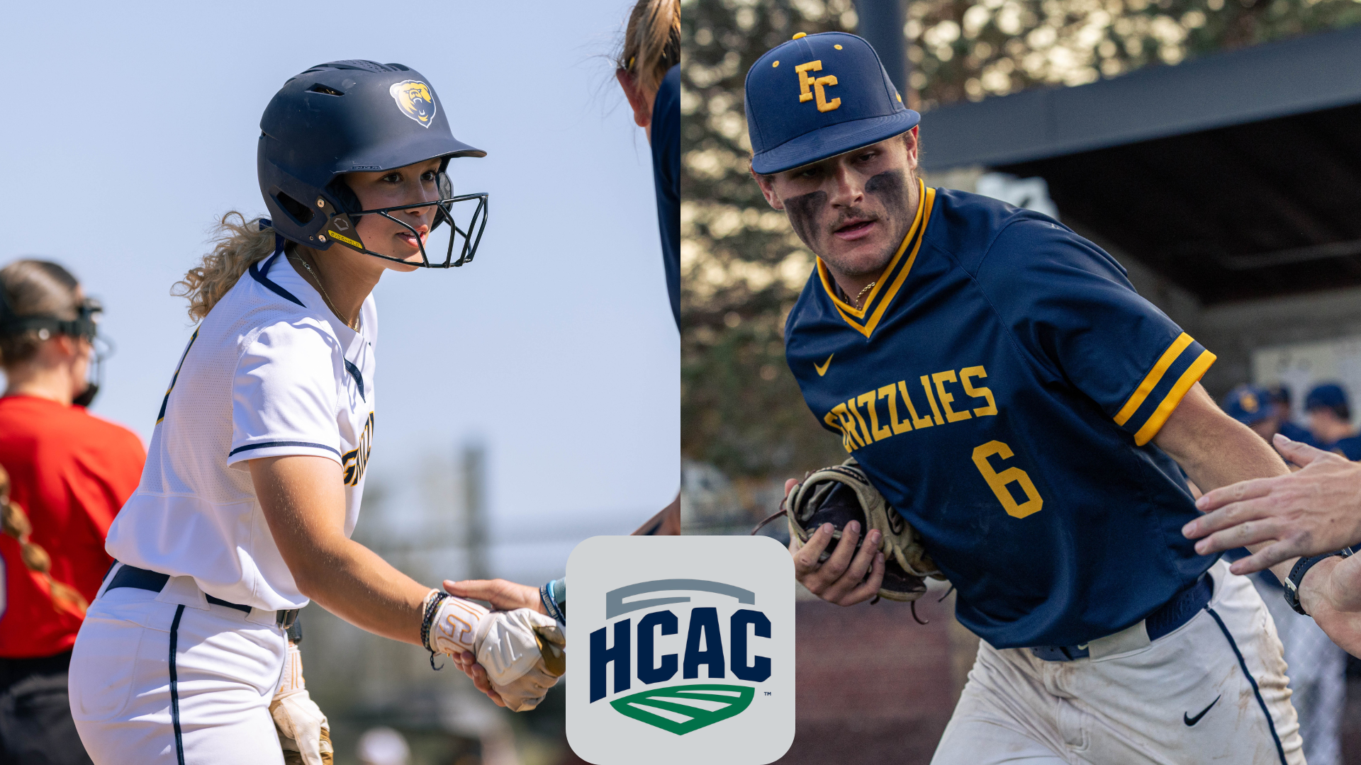 BASE SOFT HCAC preview 2026