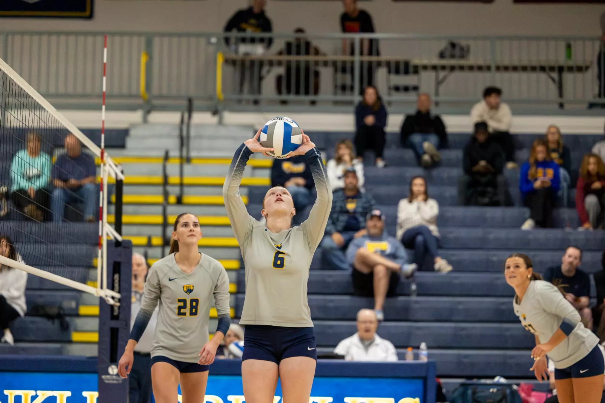 WVB Trine Holubik 30