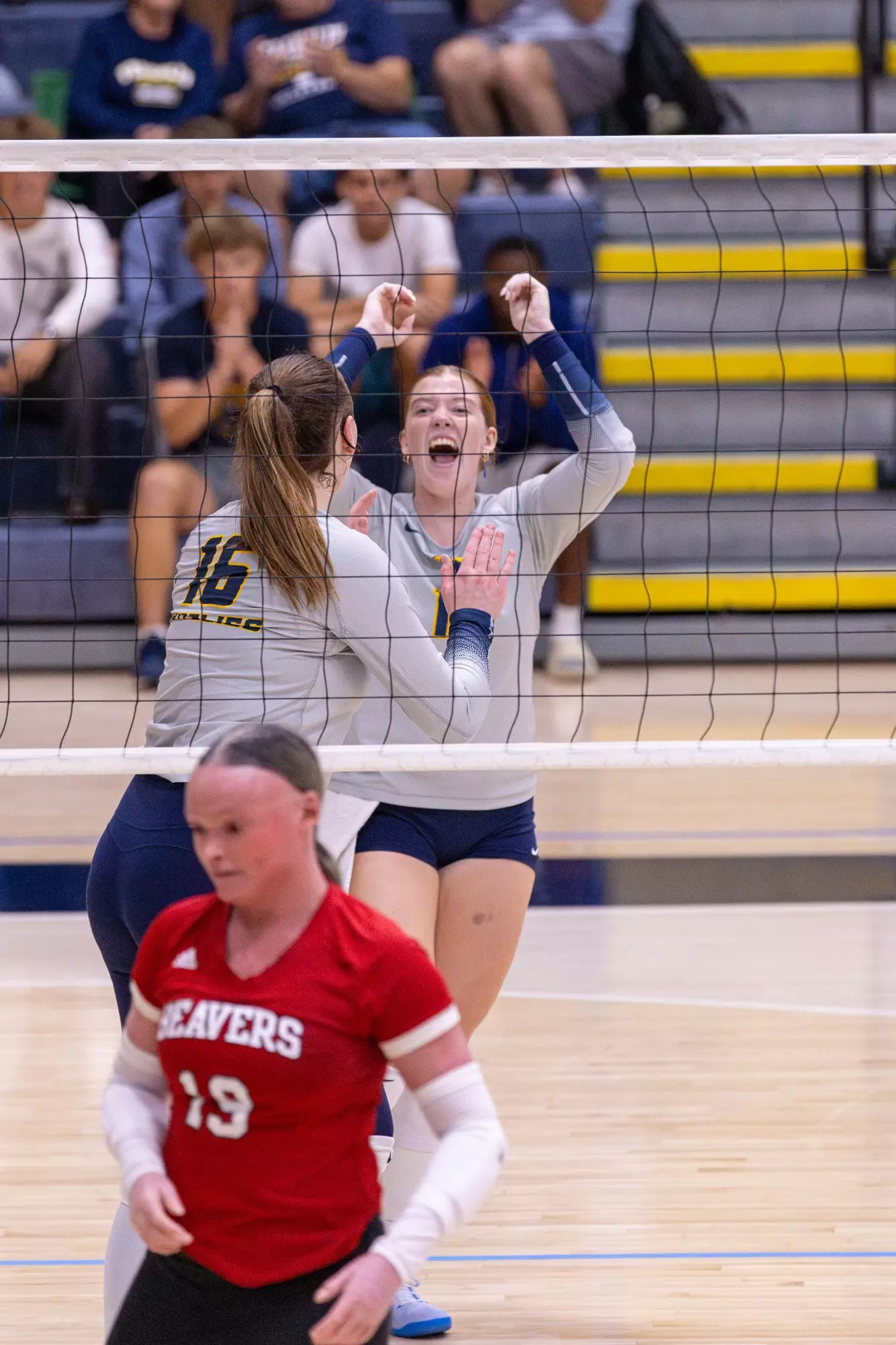 WVB Blackburn Martin 28