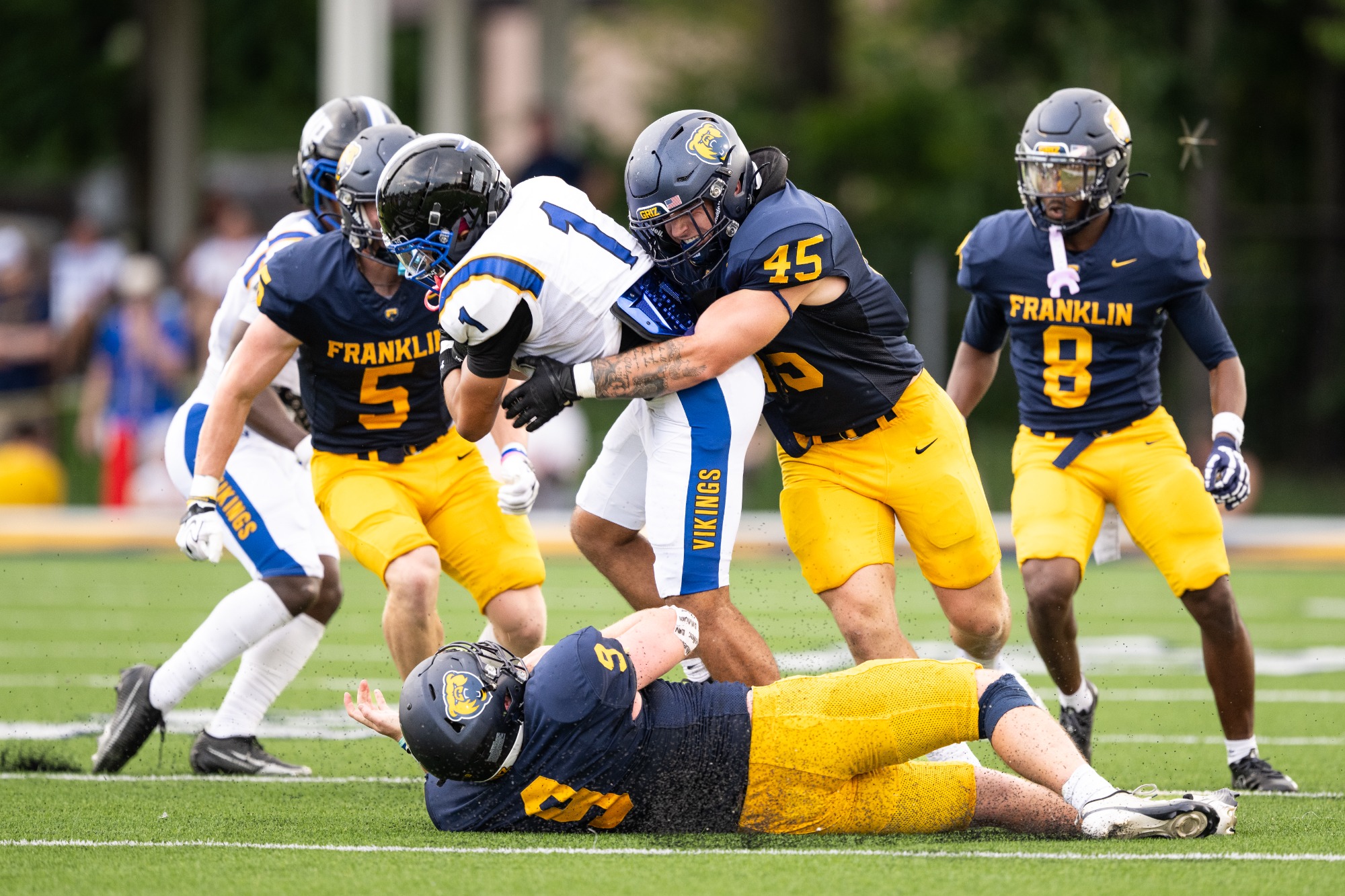 FB North Park Williams 57