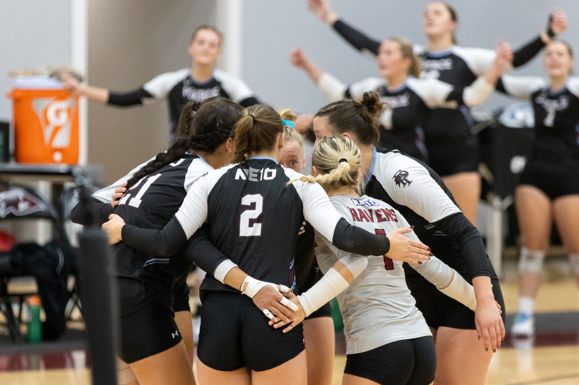 VB vs. Bentley