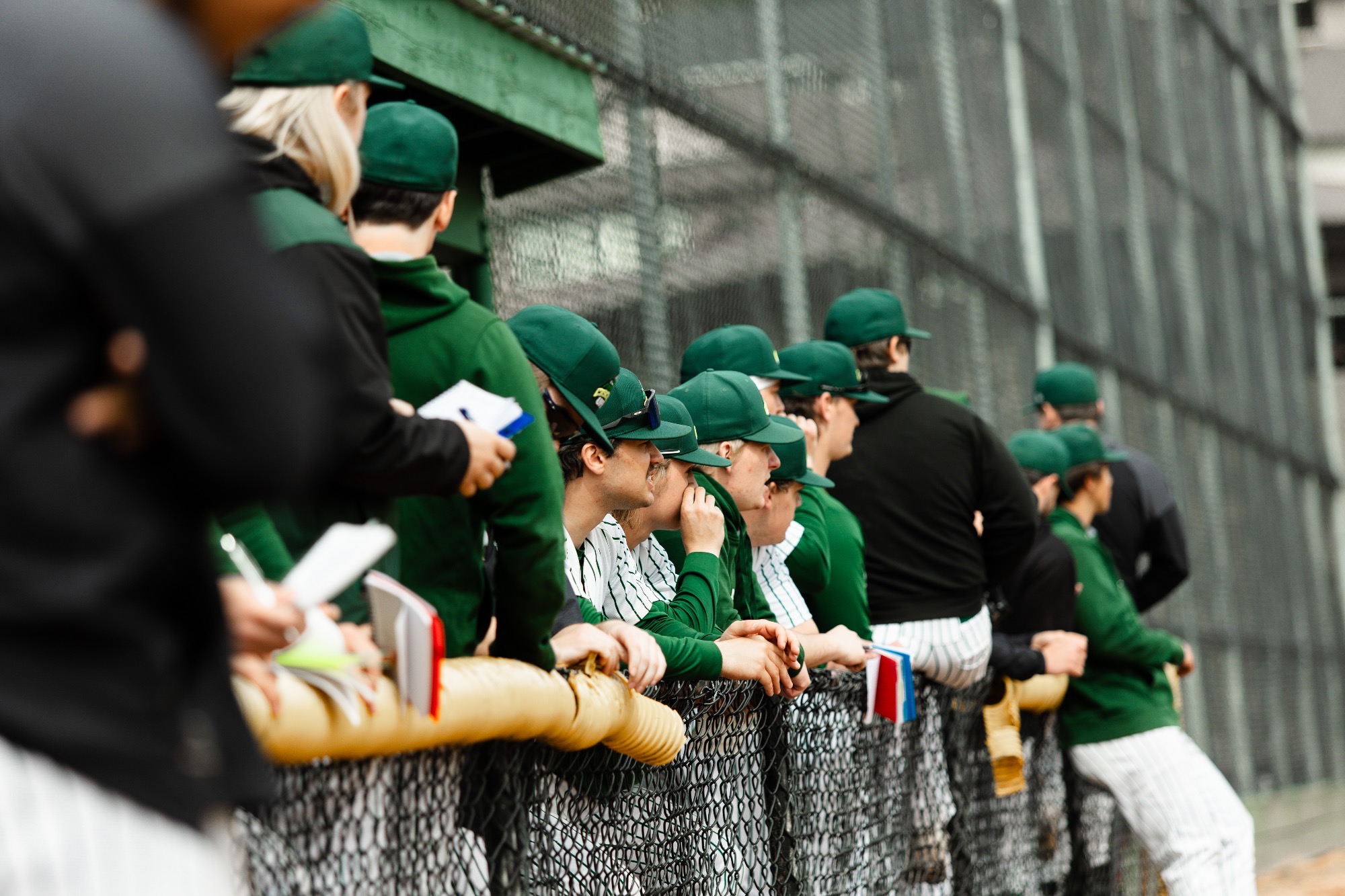 UFV Baseball