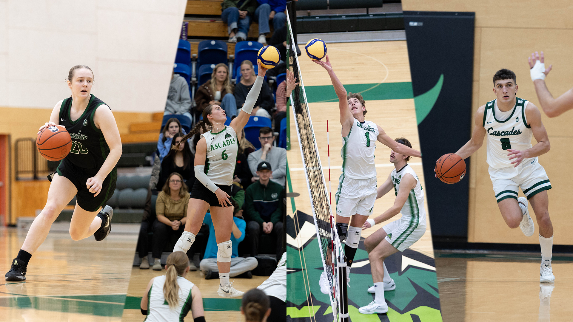 preview slider nov 26 2025