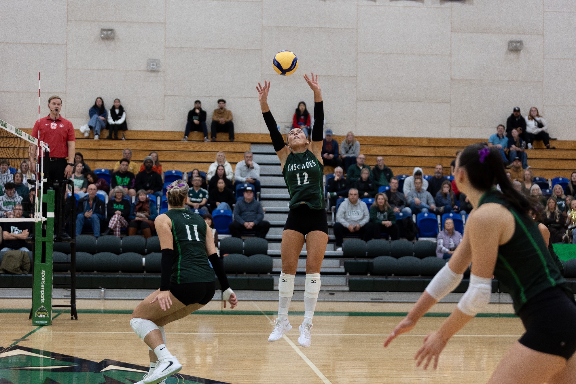 Mollie English sets the ball 