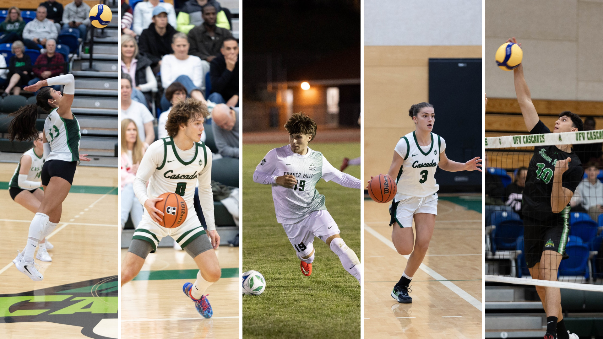 five teams in action