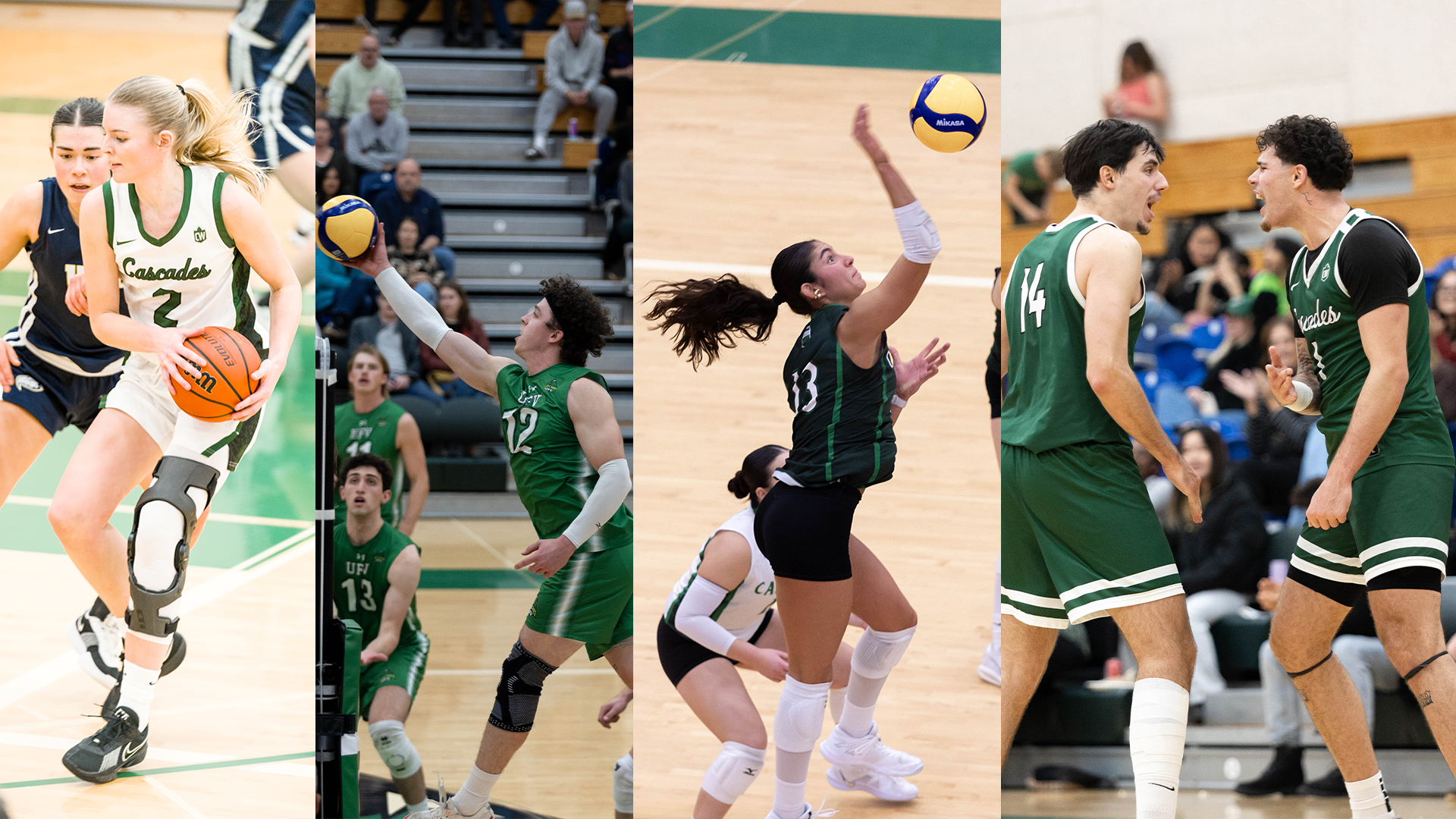 preview slider Feb 10 2026