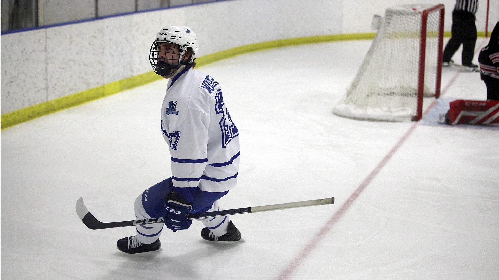 Devils fall to Cardinals Fredonia State University Athletics