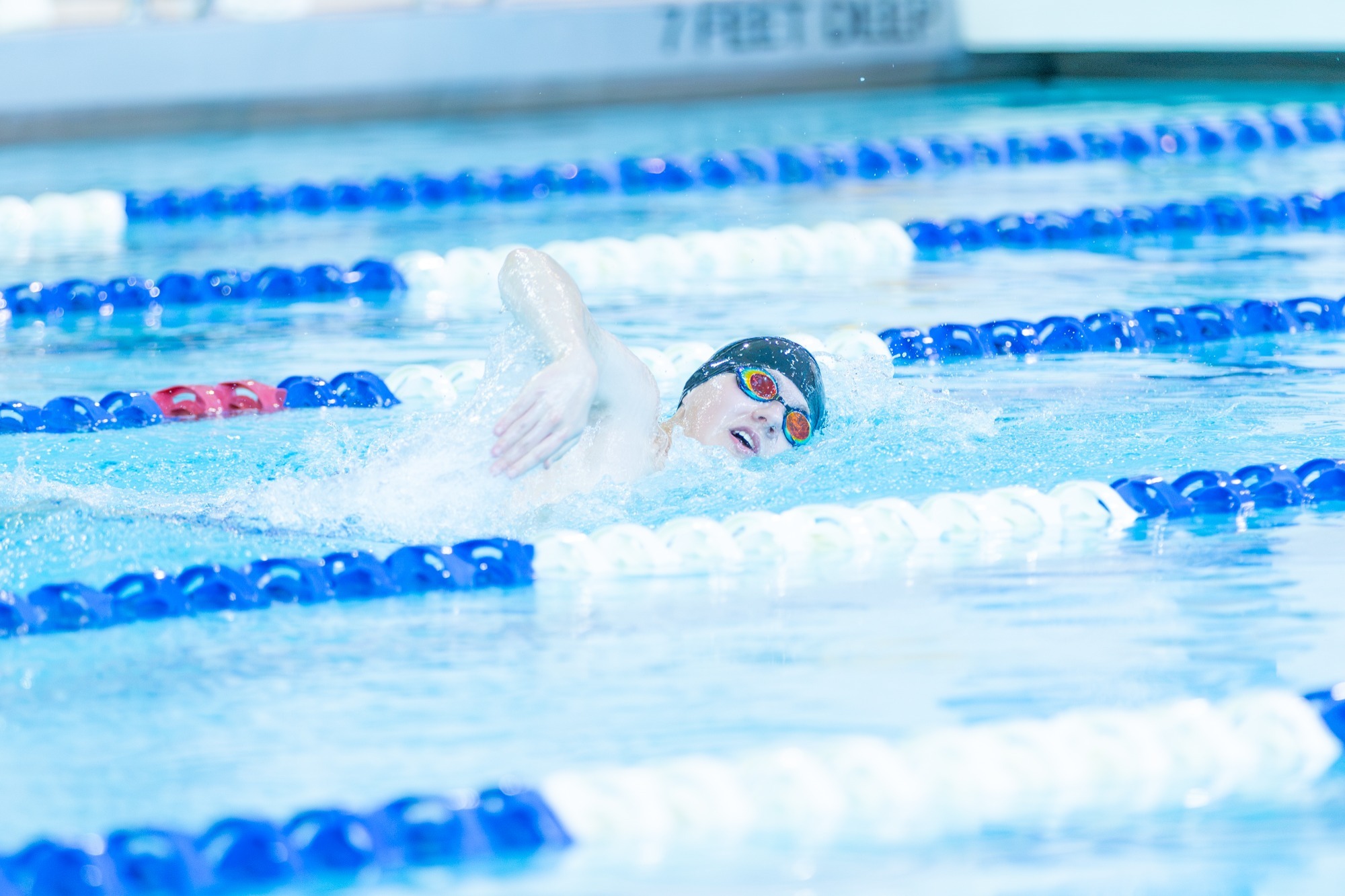 Men's swimming and diving action photo from Oct 10