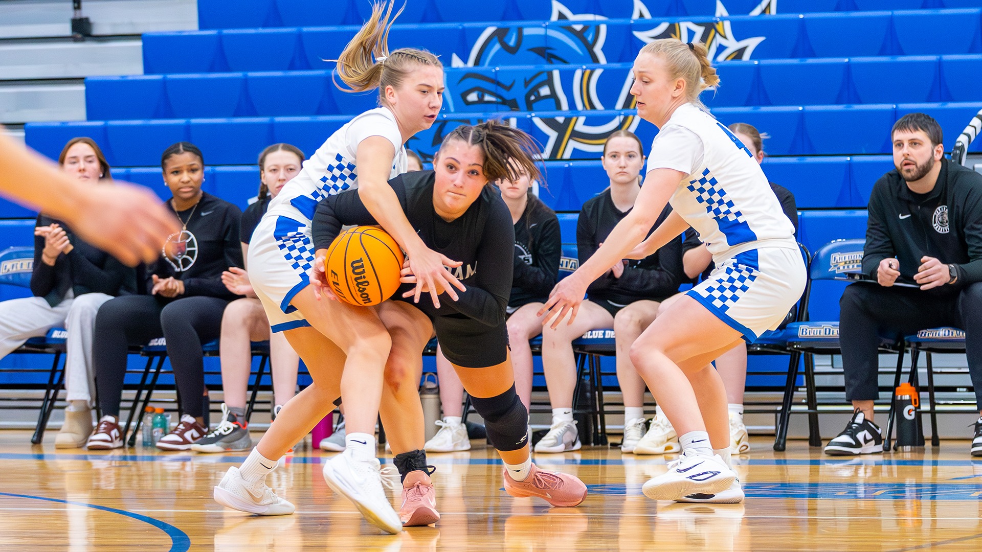 un ided women's basketball