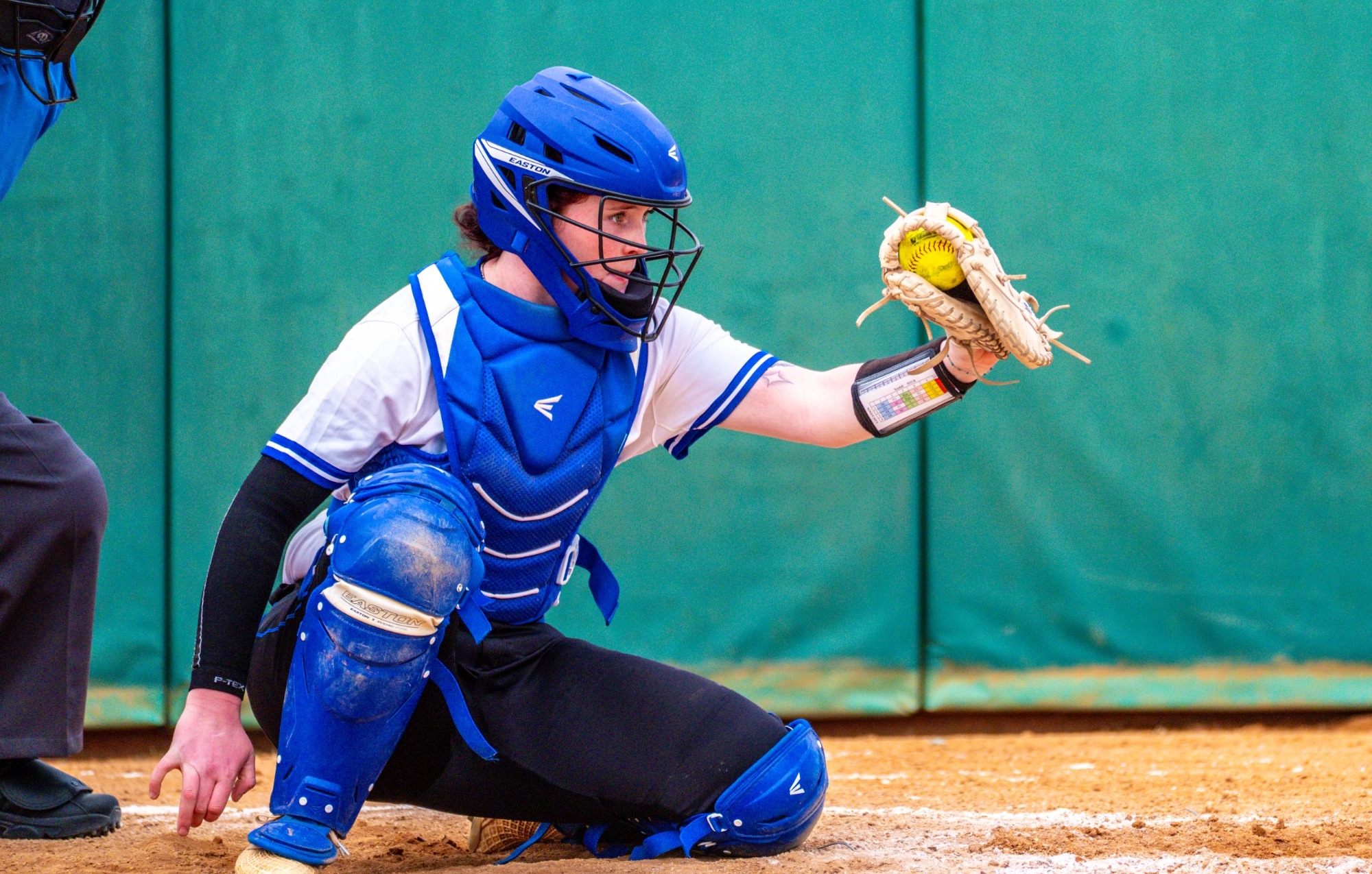 Fredonia State catcher Avery Hill receives a pitch during Saturday's game vs. Belhaven at Clermont, Fla.