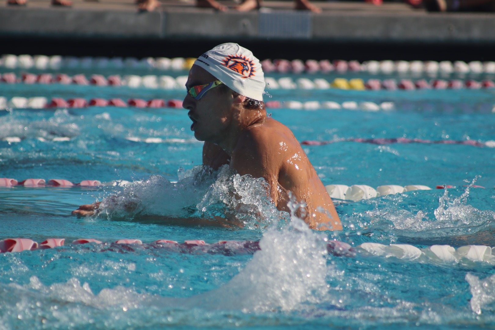 men's swim vs. bakersfield