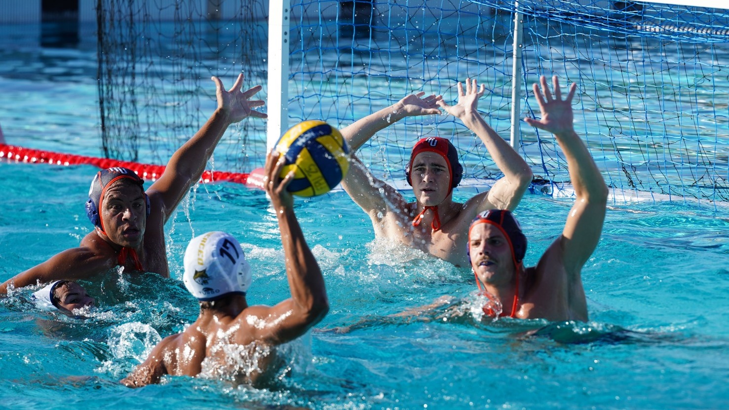 forrest, clark, hammes defend the cage