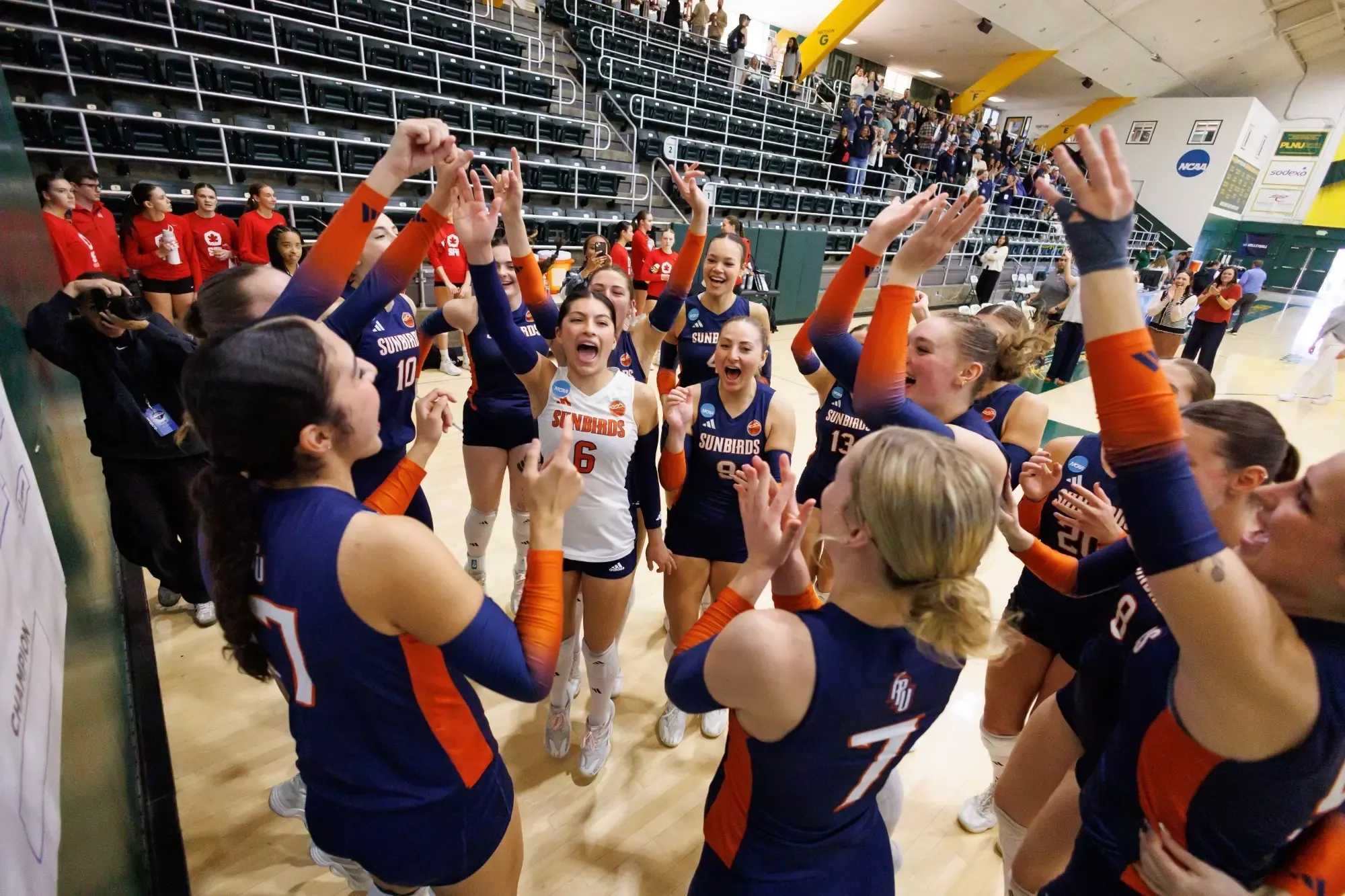 wvb advances to NCAA West region semifinals