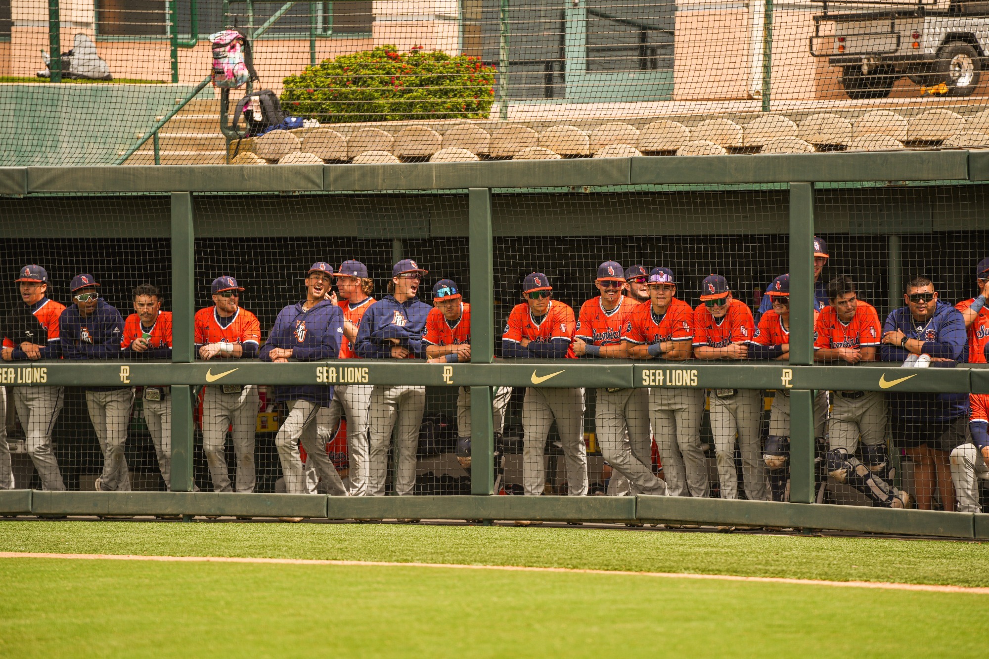 baseball in the dugout
