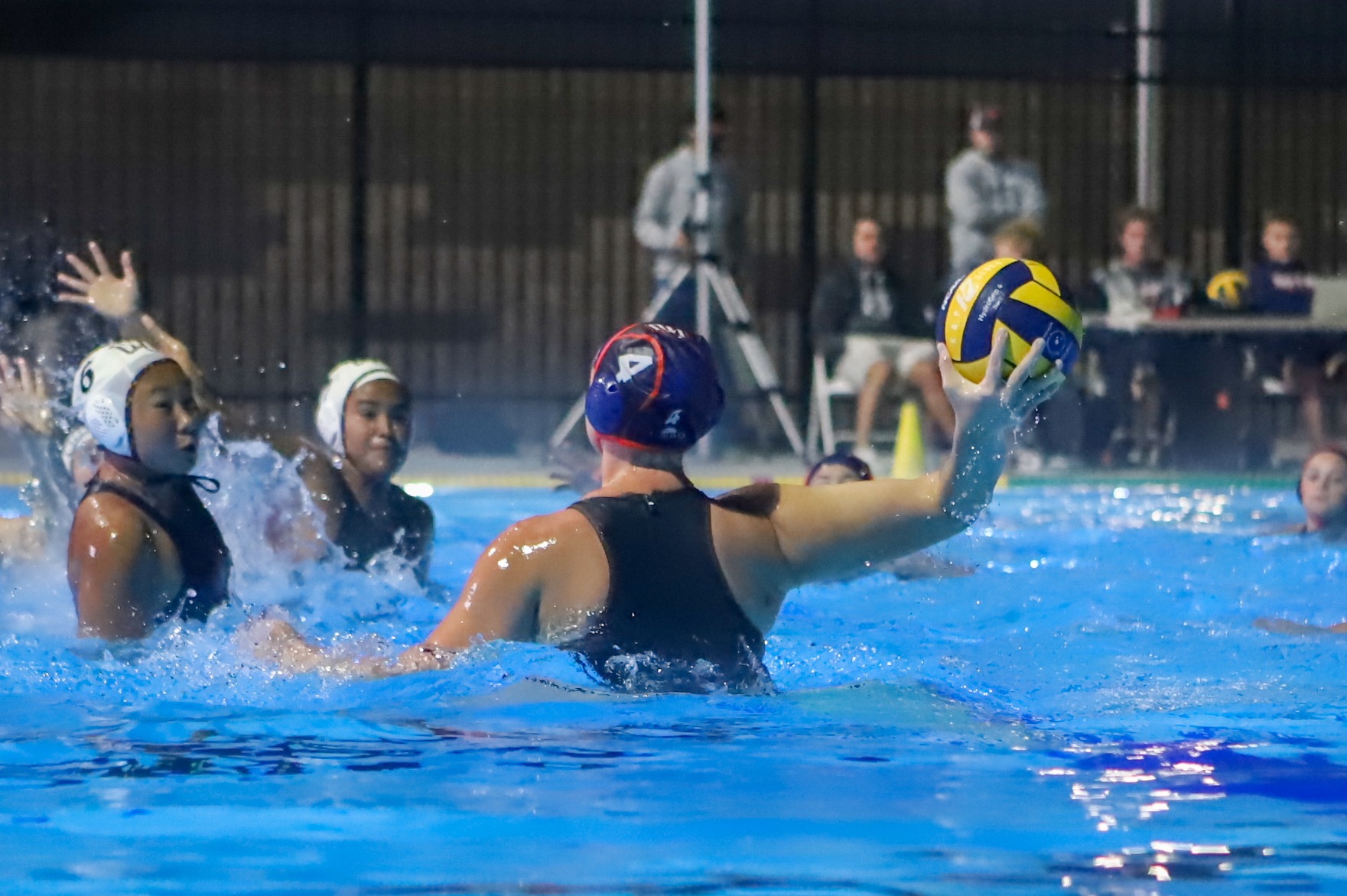 maggie cook vs whittier