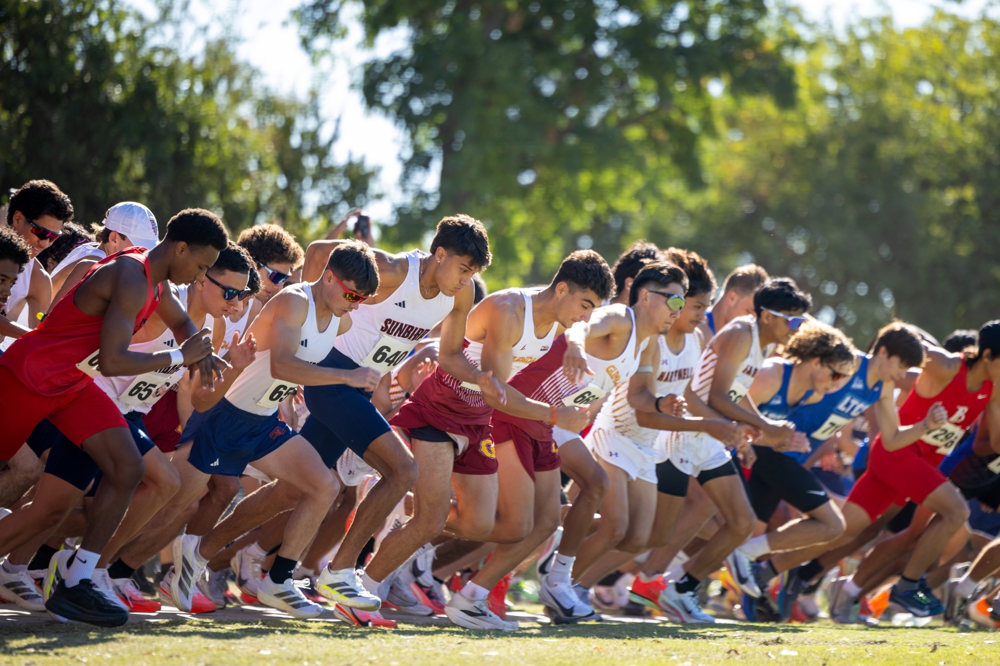 mens cross country at clovis crush