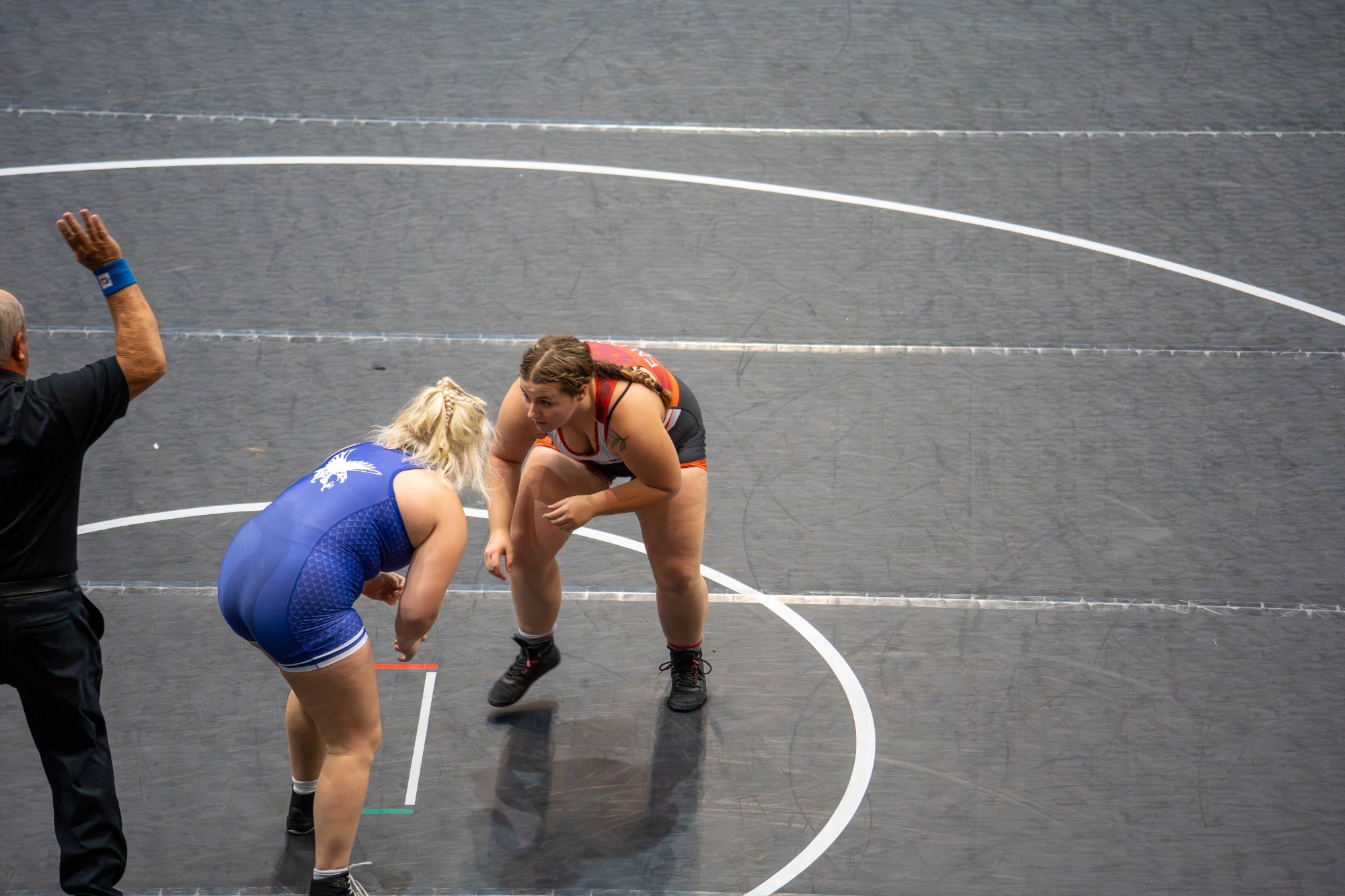 Madison Haley action web