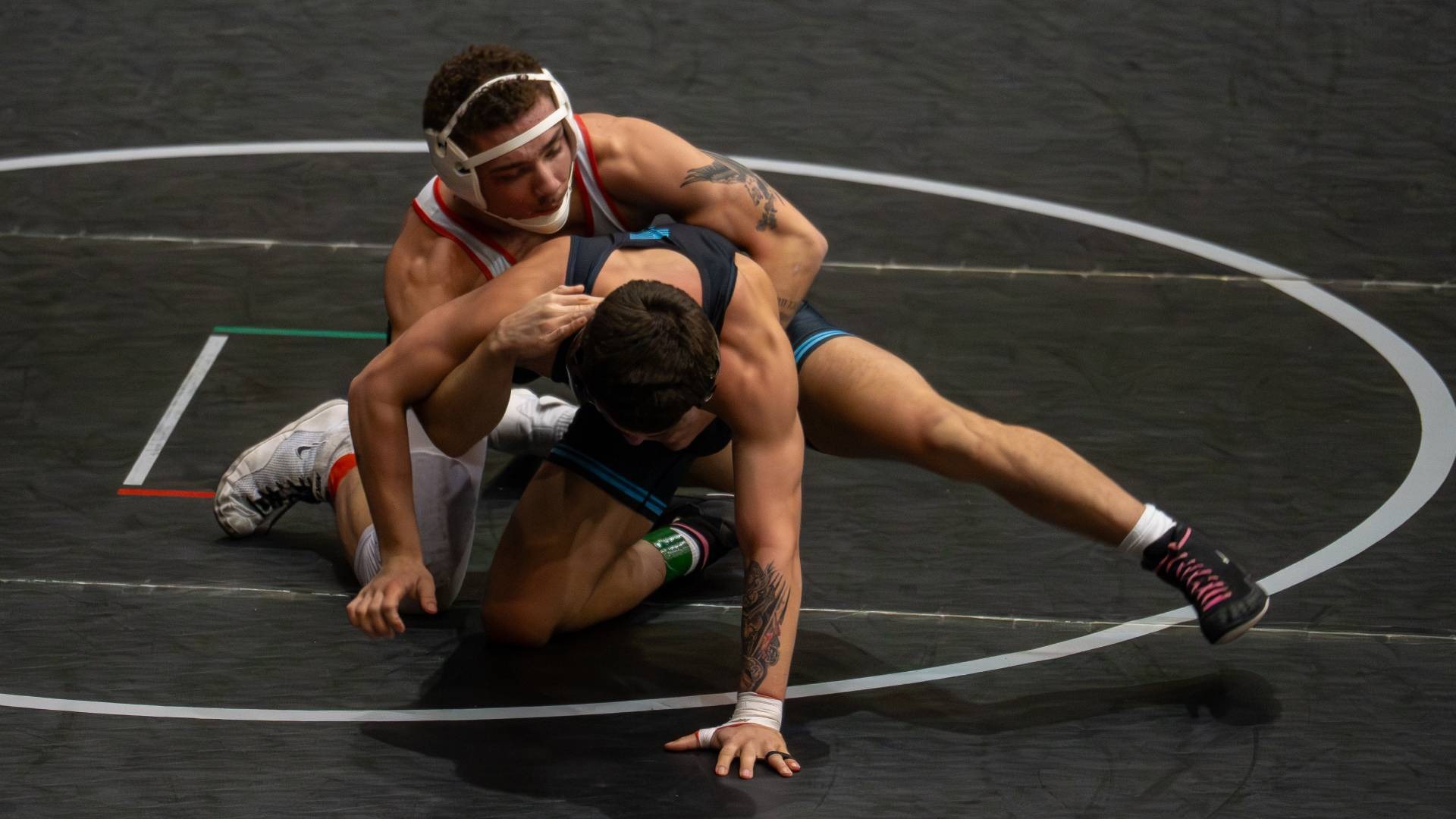 Brad McCallister action web