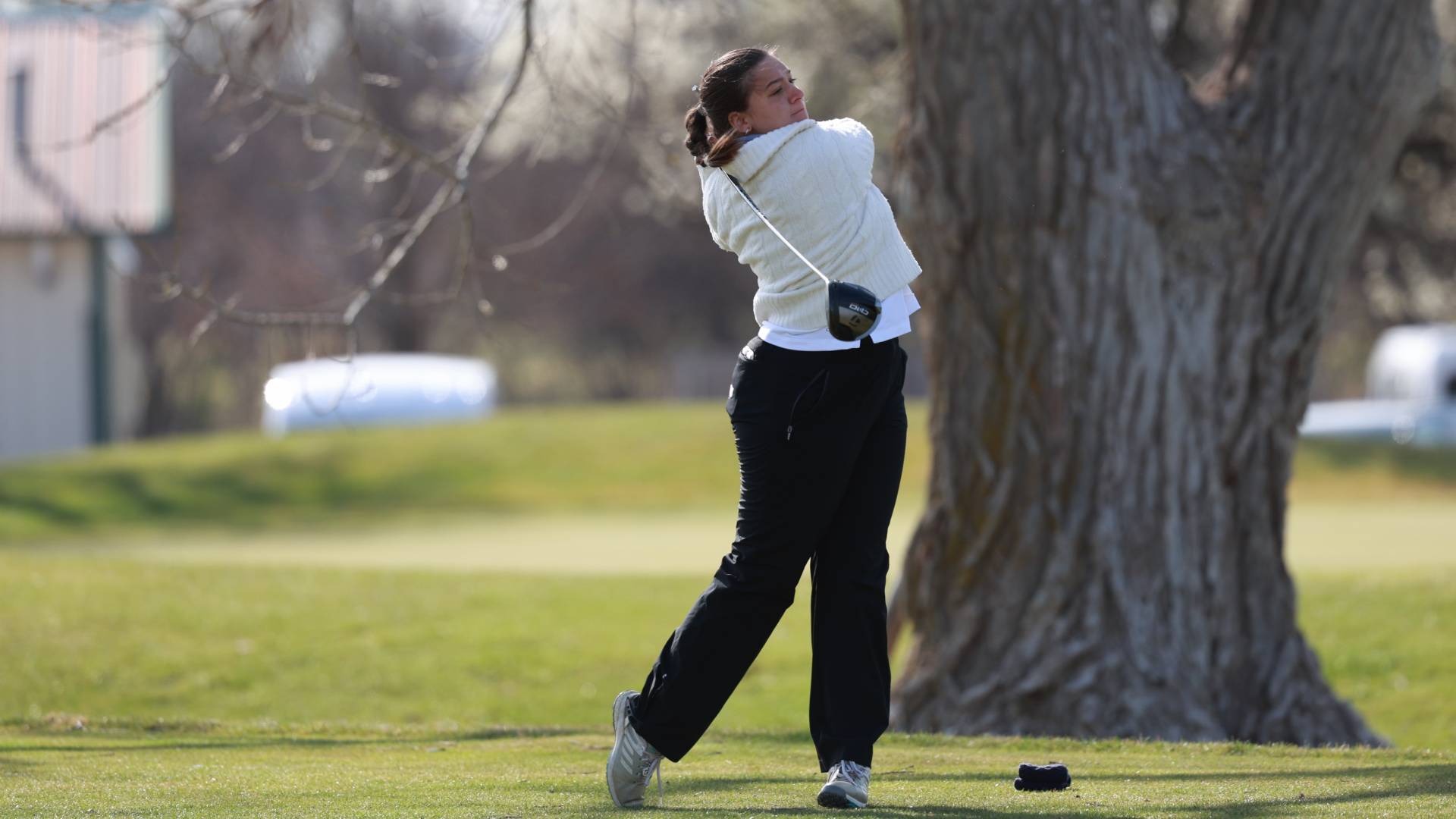 Victoria Hofmann action web