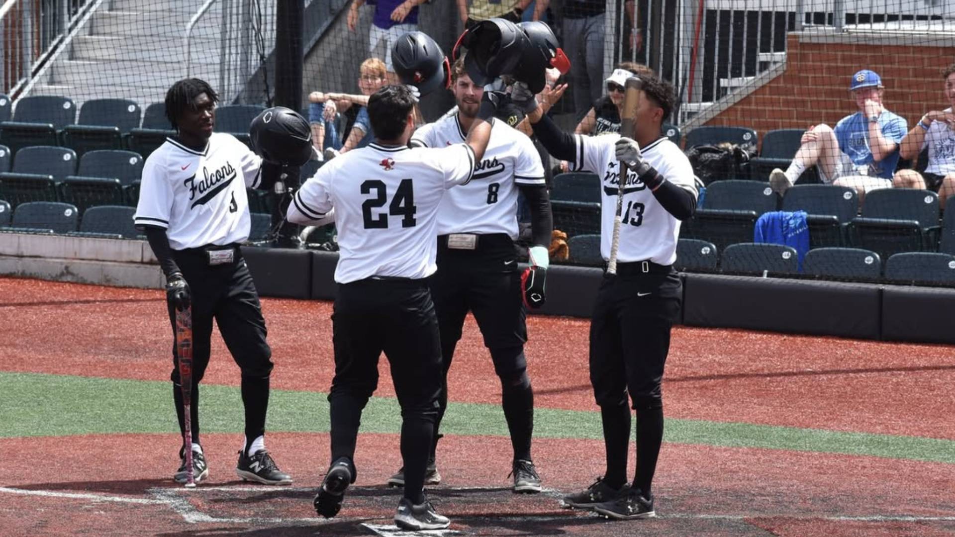 Baseball Celebration Pic 2