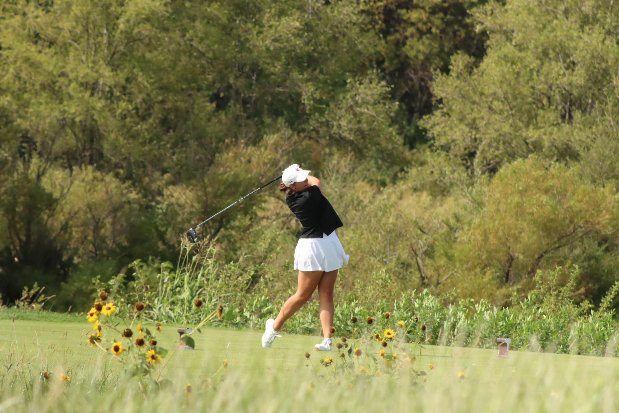 Victoria Hofmann action web