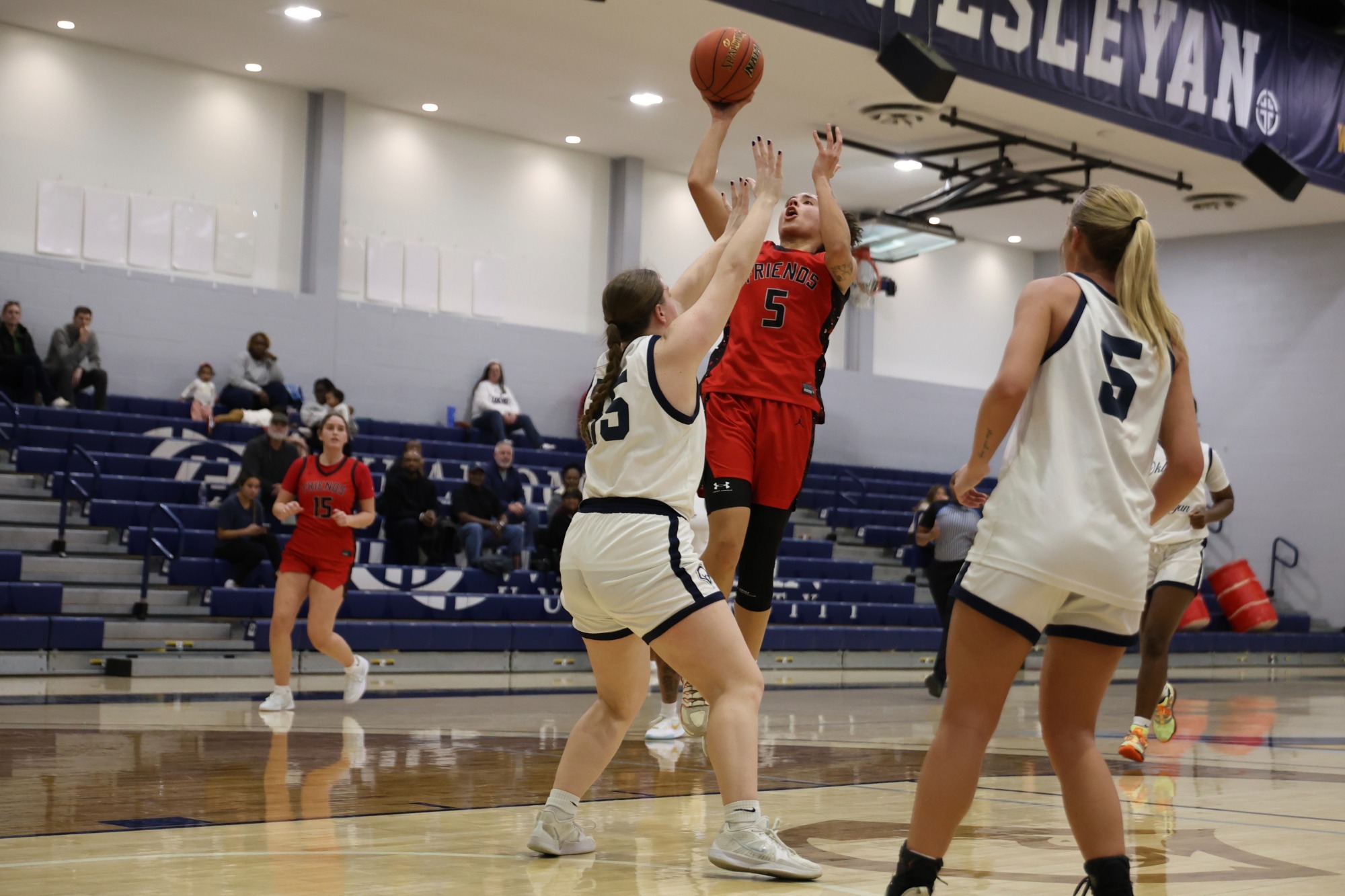 Lauryn McIver action web