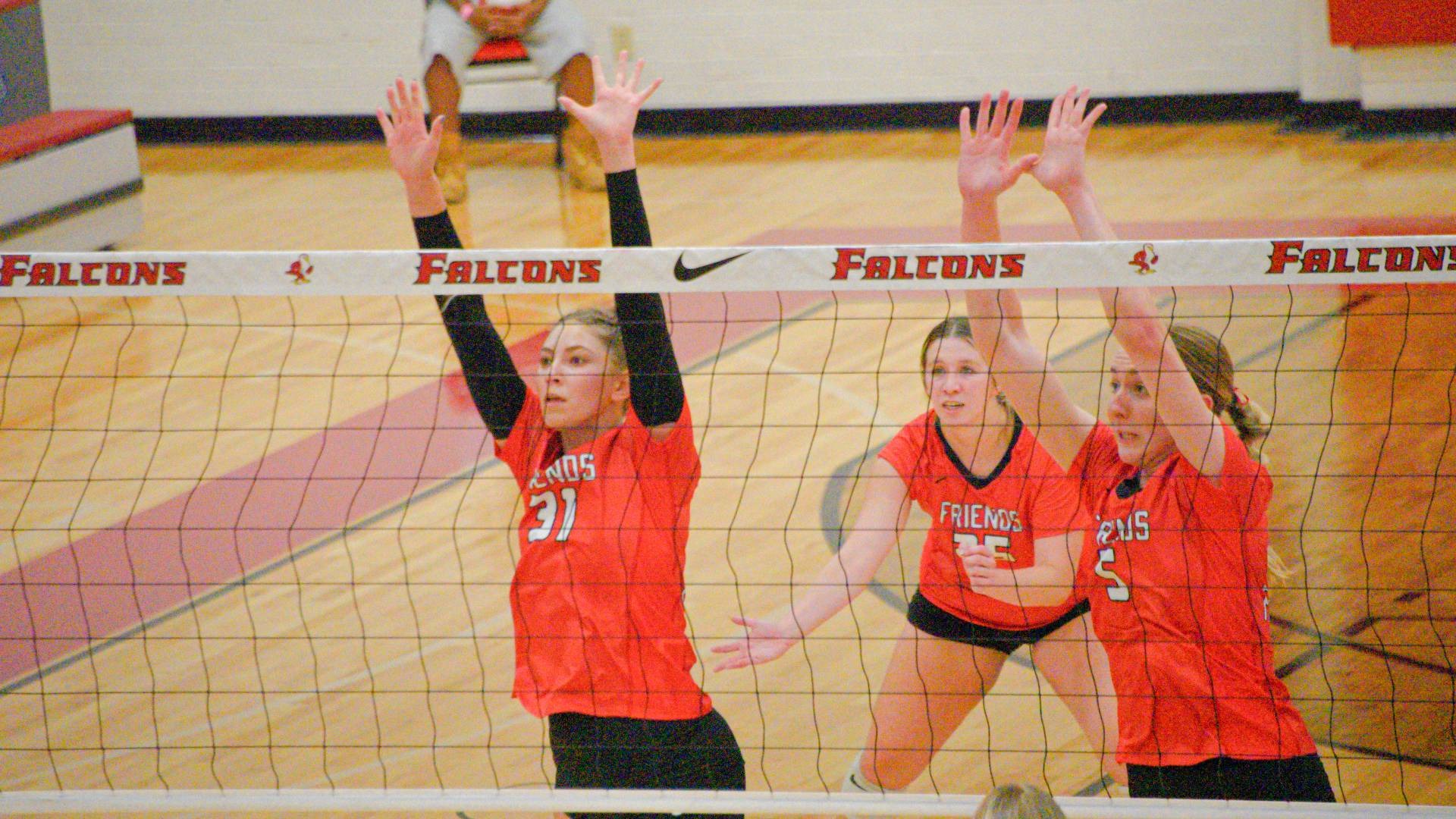 Volleyball action web
