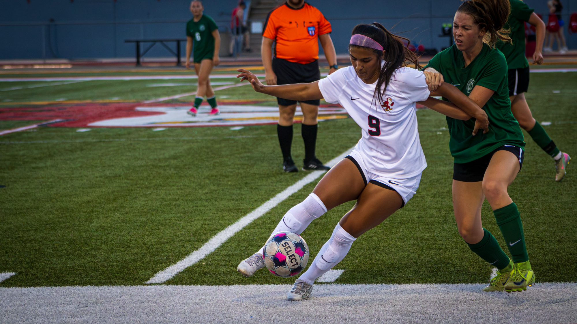 Anahi Ibarra-Arevalo action web
