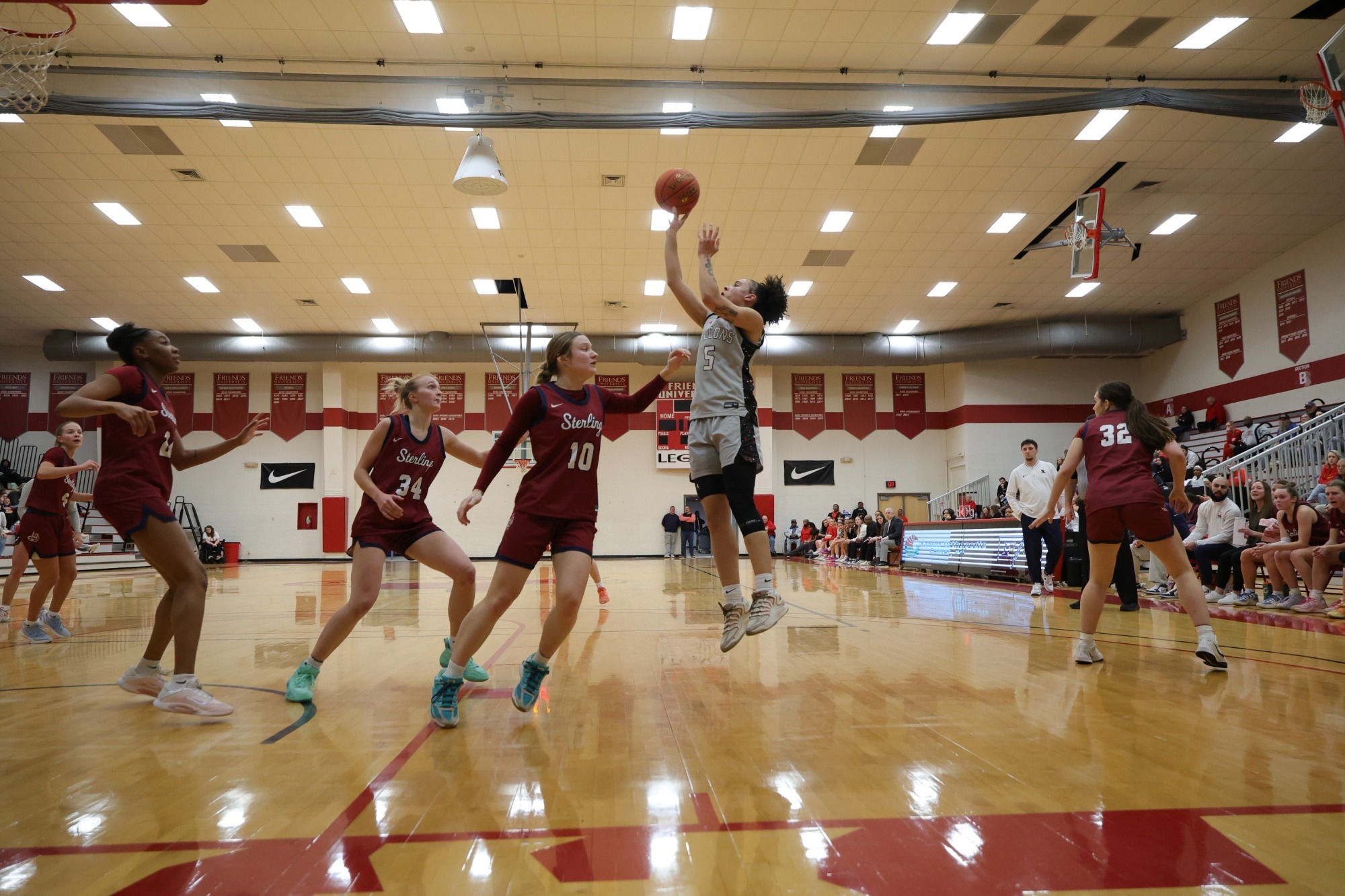 Lauryn McIver action web