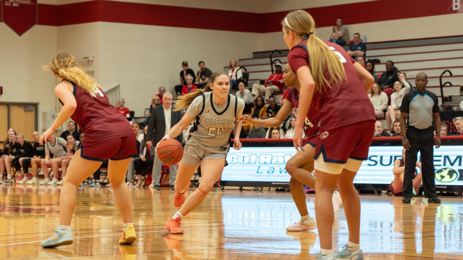 Abigail Barr action web