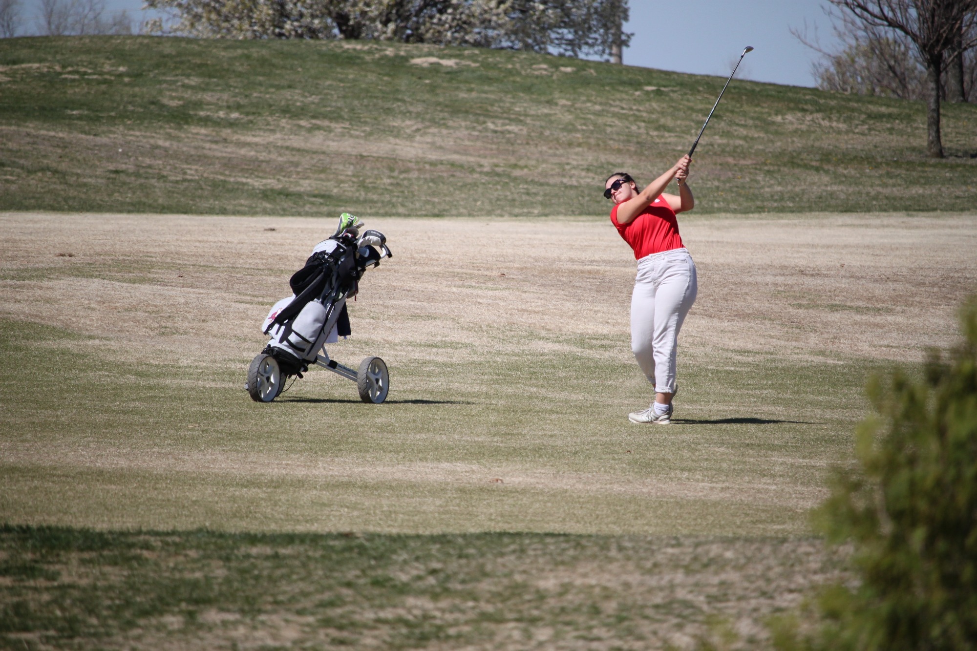 Victoria Hofmann action web