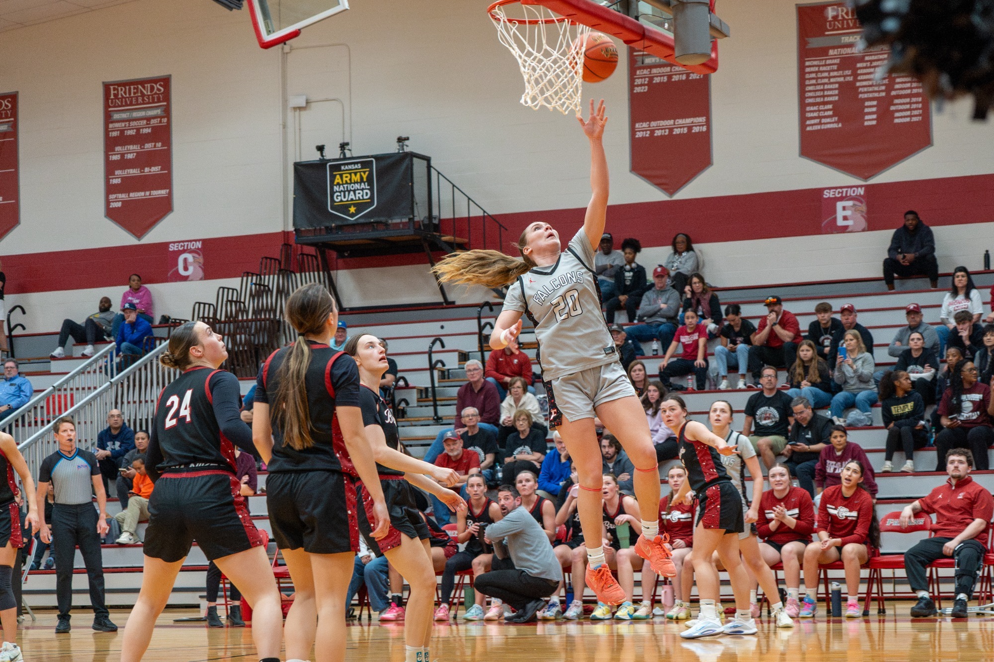 Abigail Barr action web