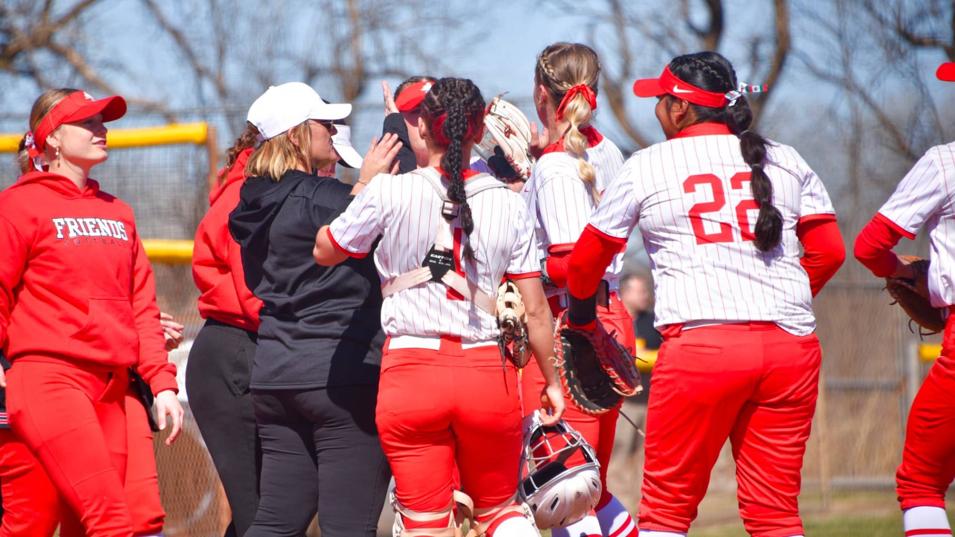 Softball action web