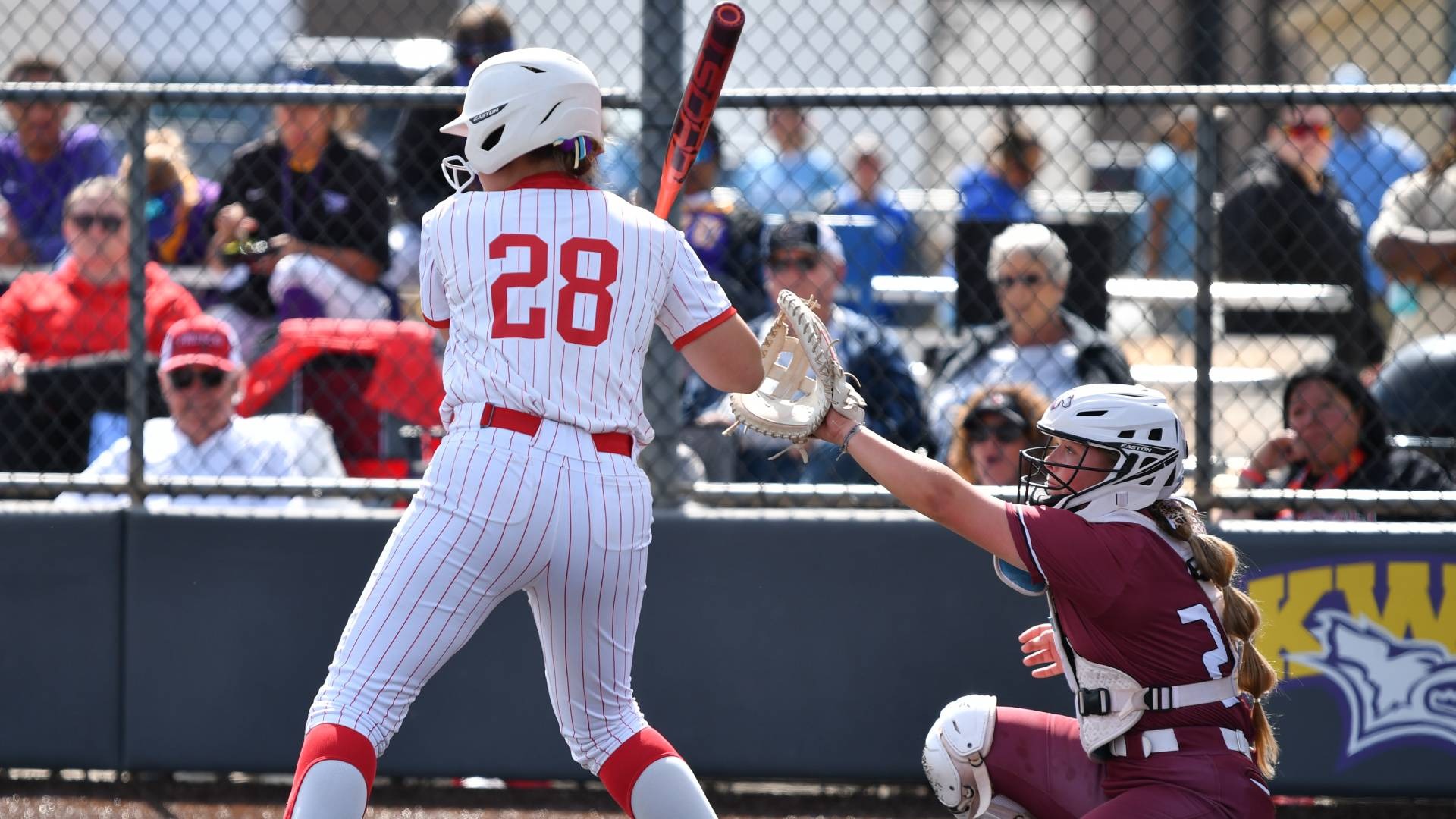 Regan Witt action web