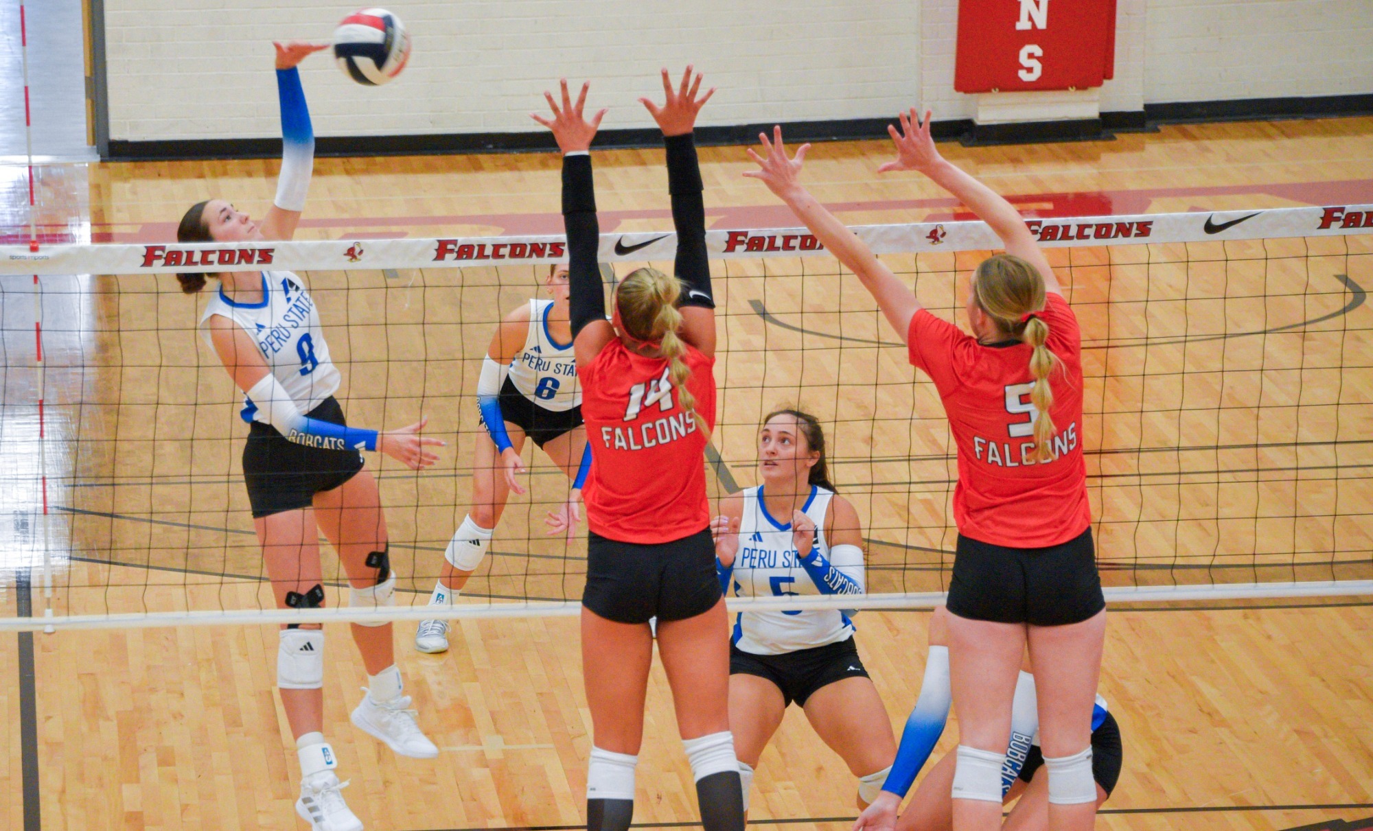 VB action web