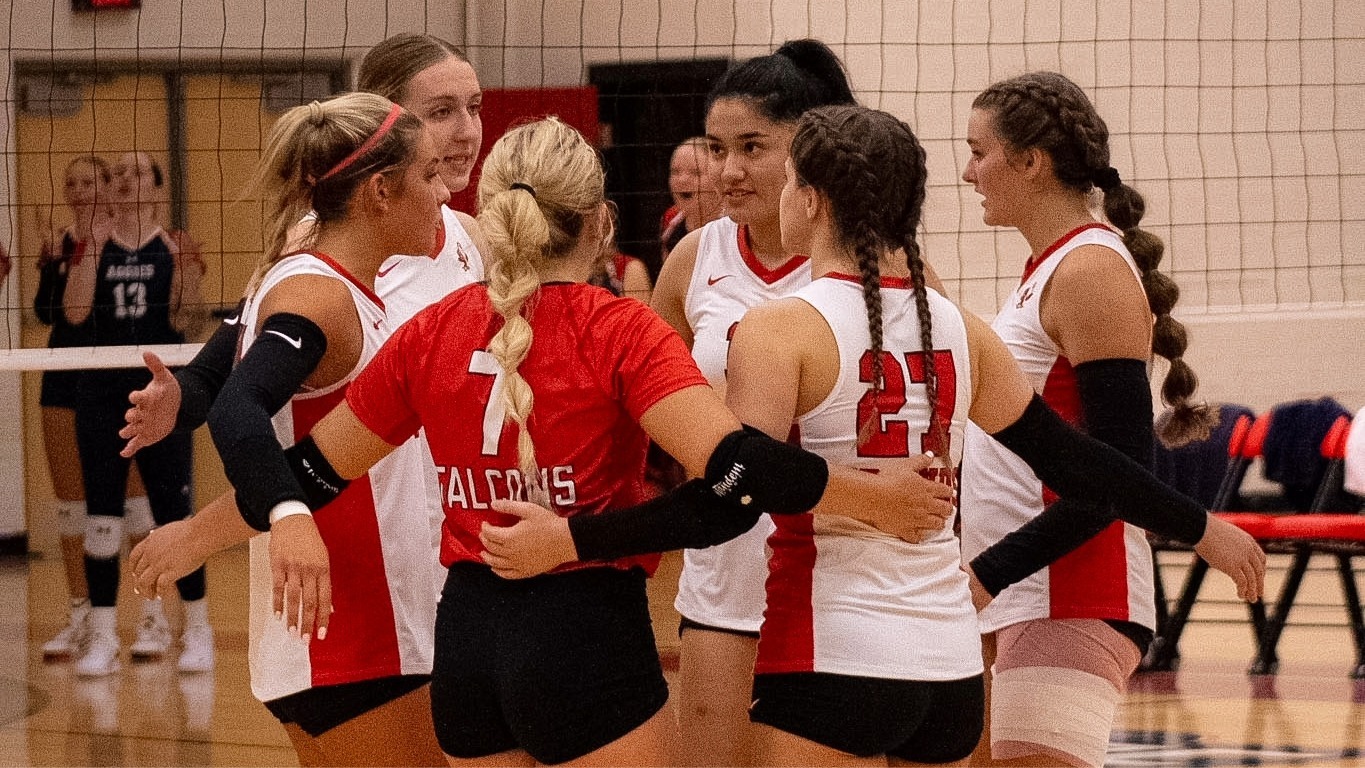 VB action web 2