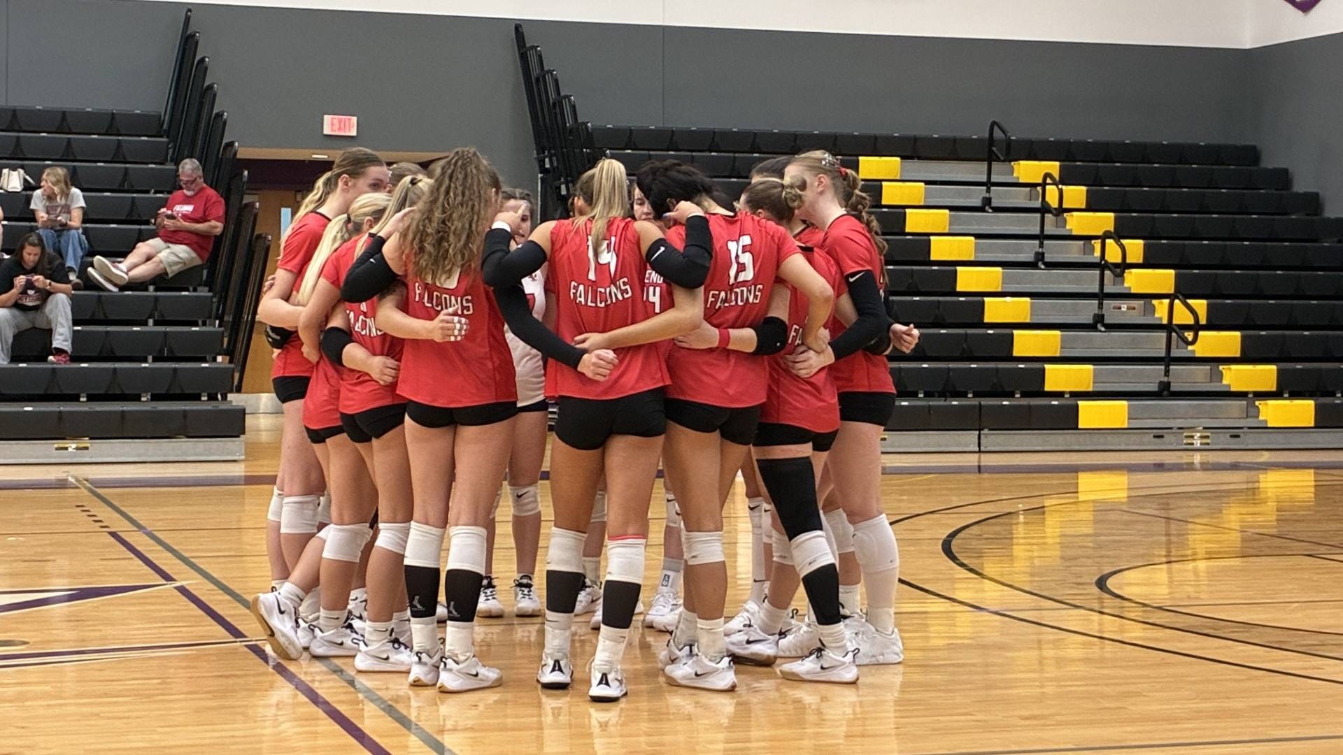 Volleyball action web