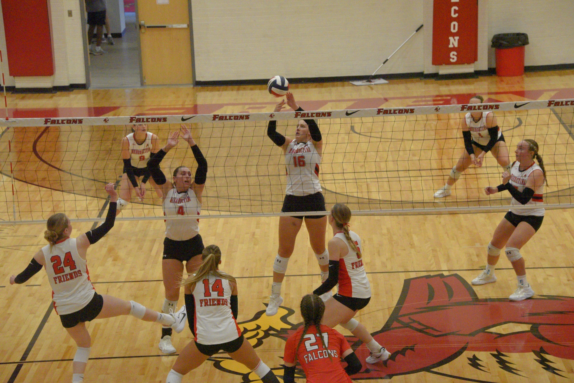 Volleyball action web