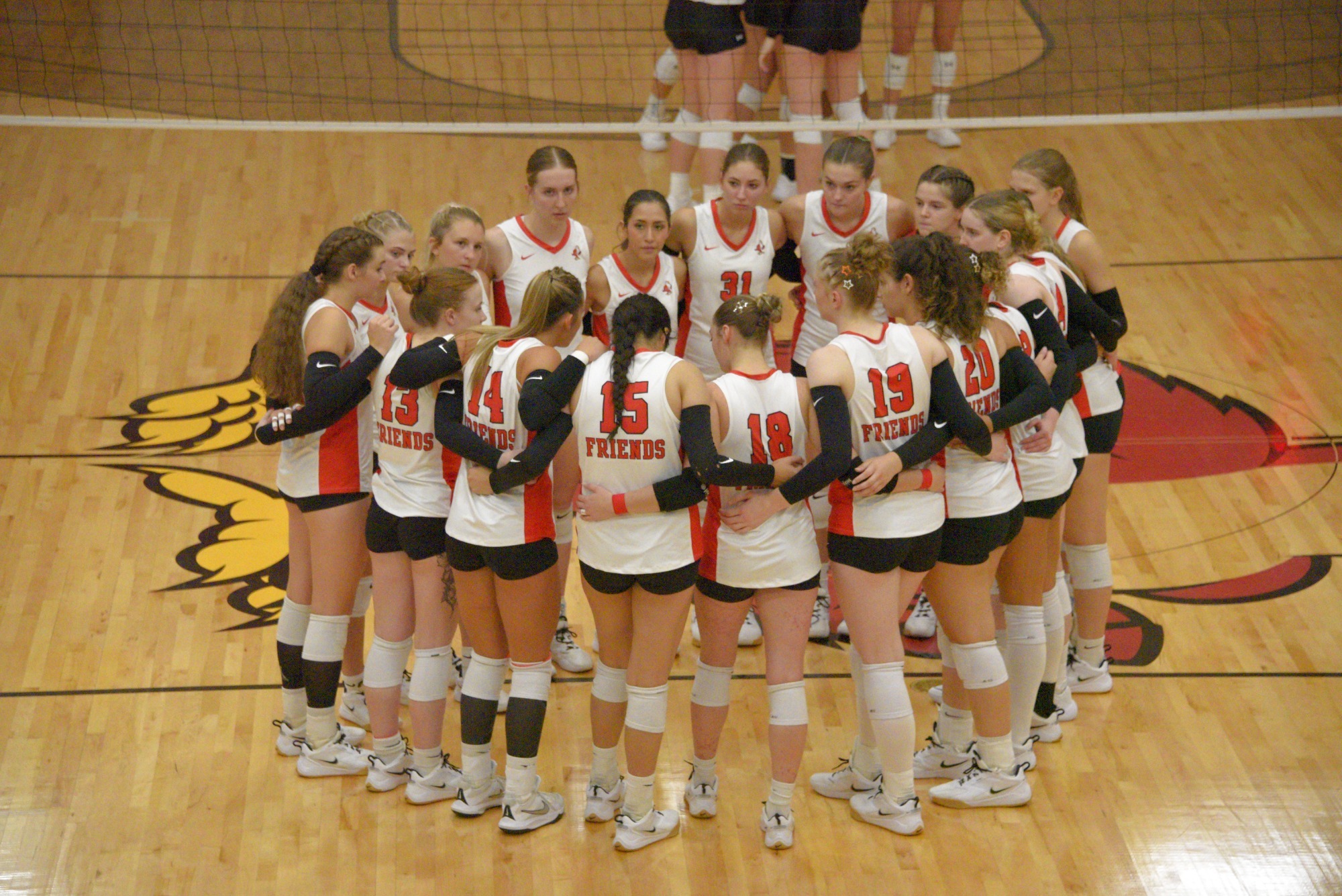 Volleyball action web