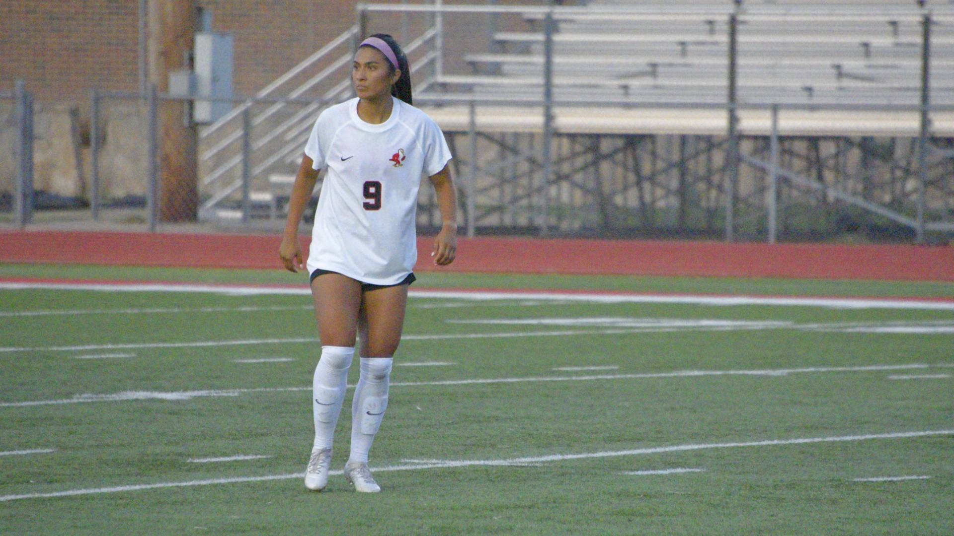Anahi Ibarra-Arevalo Action Web