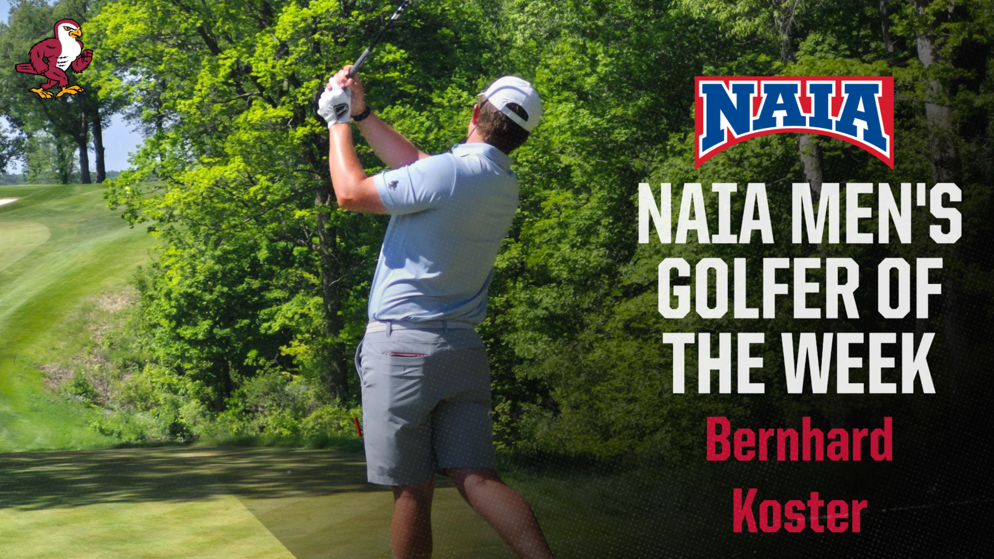 Bernhard Koster NAIA Men's Golfer of the Week Graphic Web