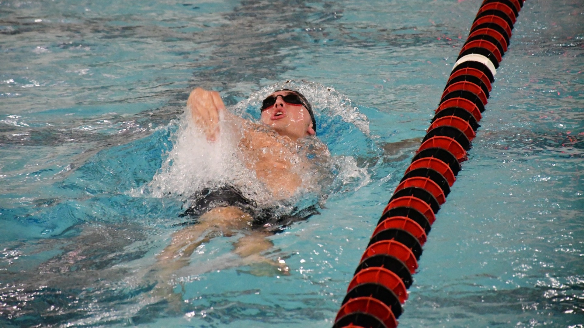 Filipovits v Fairmont 25