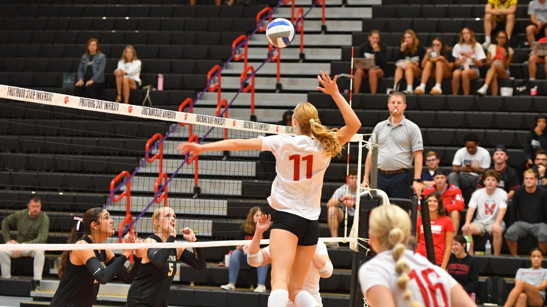 Evans v PPU 25