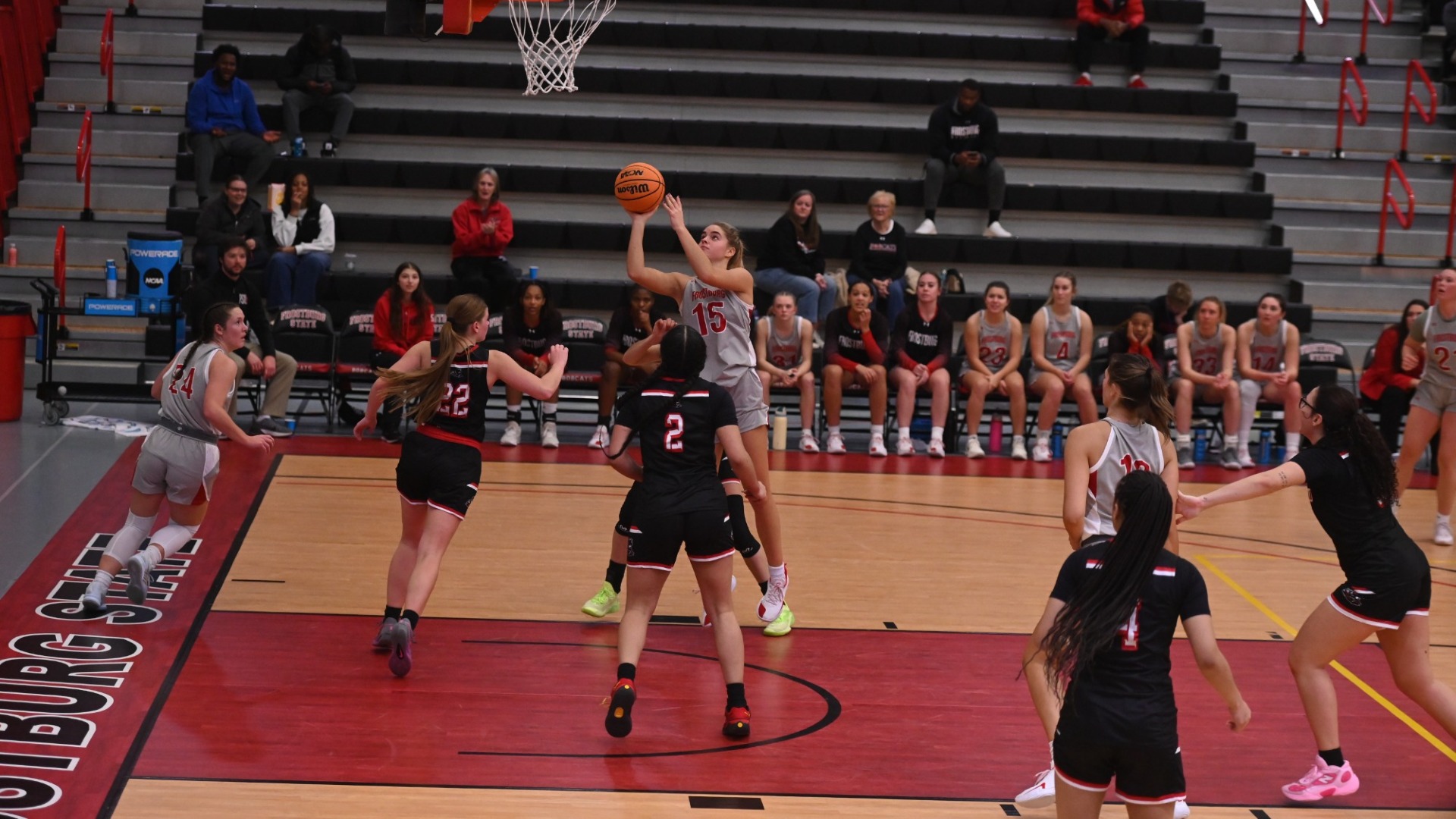 Spinelli v Mansfield 25